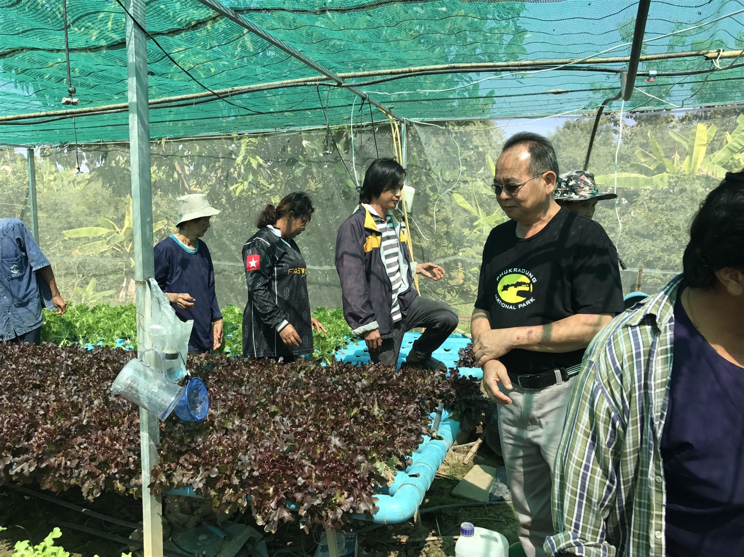 #สุโขทัย ดินแดนแห่งความสุข #เมื่อวันที่ 25 มกราคม 2560  นางสาวศิรินภา  สิทธิวงศ์ นักพัฒนาธุรกิจ กับ MD นายธงชัย  คงสนิท  ได้ลงพื้นที่เก็บข้อมูลกลุ่มผักไฮโนโปรนิค ที่บ้านหนองยาว ต.เกาะตาเลี้ยง อ.ศรีสำโรง  ข้อมูลพื้นฐานคือ เดิมมีจำนวนสมาชิก 15 คน ปัจจุบันร