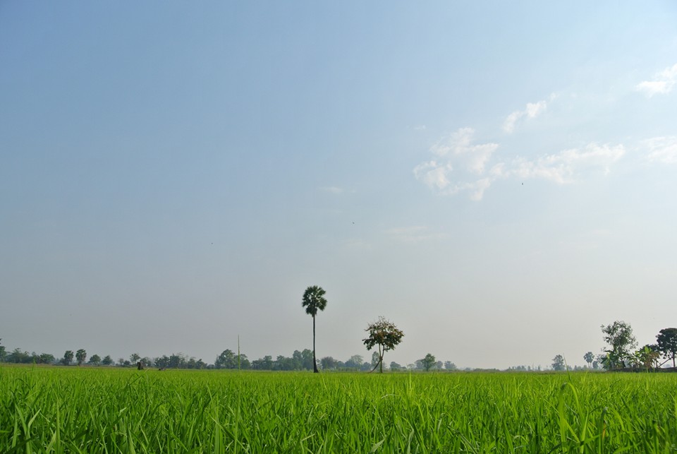 #สุโขทัย ดินแดนแห่งความสุข#การประชุมนักวิชาการ ประจำเดือนมีนาคม 2559 เพื่อสรุปผลการดำเนินงาน และกำกับ ติดตาม สนับสนุนการดำเนินงานขับเคลื่อนภารกิจตามยุทธศาสตร์กรมฯ