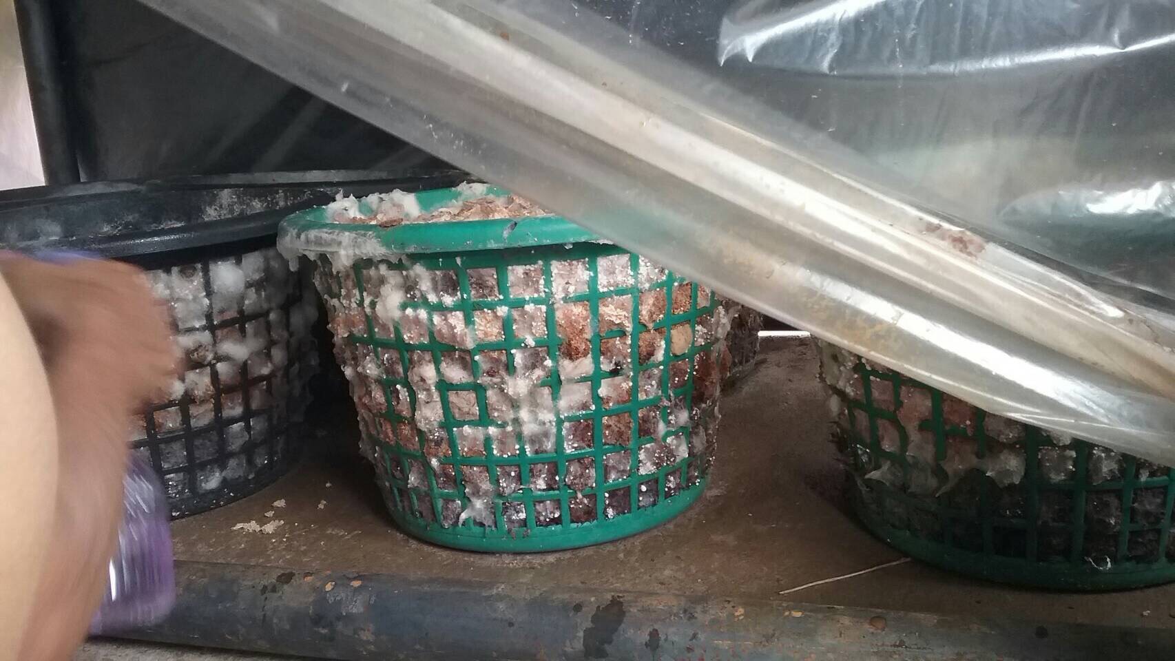 #สุโขทัย ดินแดนแห่งความสุข#วันที่ 3 ตุลาคม 2559 สำนักงานพัฒนาชุมชนกงไกรลาศ อำเภอกงไกรลาศ จังหวัดสุโขทัย ได้ดำเนินการประชุมคณะกรรมการฯและมีการขับเคลื่อนศูนย์เรียนรู้ชุมชนบ้านเสาหิน หมู่ที่ 9 ตำบลป่าแฝก อำเภอกงไกรลาศ จังหวัดสุโขทัย (ข่าวโดย นางสาวอภิรดา  วร