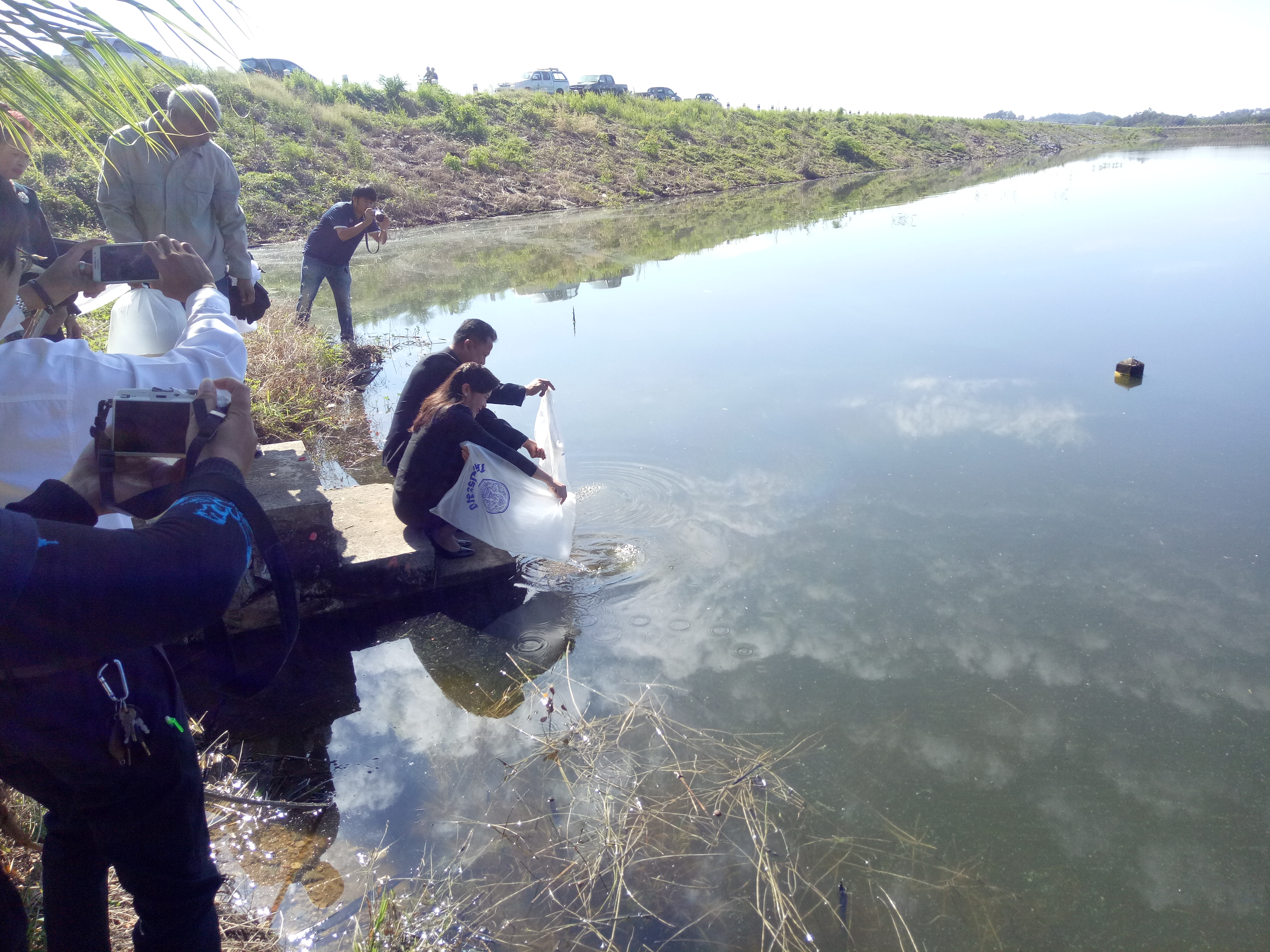 #สุโขทัย ดินแดนแห่งความสุข #ว่าที่ ร.ต.พยุงศักย์ สุวรรณโณ (นายอำเภอศรีสัชนาลัย) พร้อมด้วยคณะกรรมการพัฒนาสตรีอำเภอศรีสัชนาลัย หัวหน้าส่วนราชการและพสกนิกรชาวอำเภอศรีสัชนาลัย ร่วมกิจกรรมปล่อยปลา 49,999 ตัว ณ โครงการอ่างเก็บน้ำห้วยท่าแพ หมู่ที่ 11 ตำบลบ้านแก่