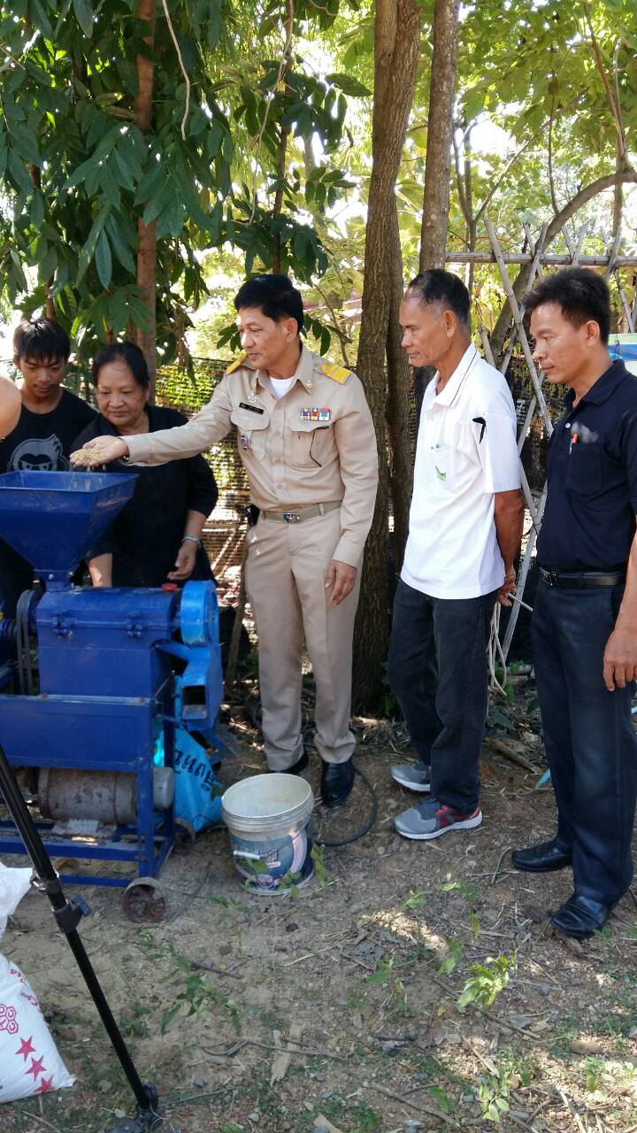 #สุโขทัย ดินแดนแห่งความสุข #นายสุวิน พึ่งเงิน พัฒนาการจังหวัดสุโขทัย ตรวจติดตามการขับเคลื่อนศูนย์เรียนรู้ชุมชน เศรษฐกิจพอเพียง โรงสีชุมชน  ผักปลอดส่ารพิษ บ้านโคกกระทือ ตำบลวังใหญ่ อำเภอศรีภสำโรง จังหวัดสุโขทัย เพื่อบูรณาการร่วมกับโครงการสัมมาชีพ