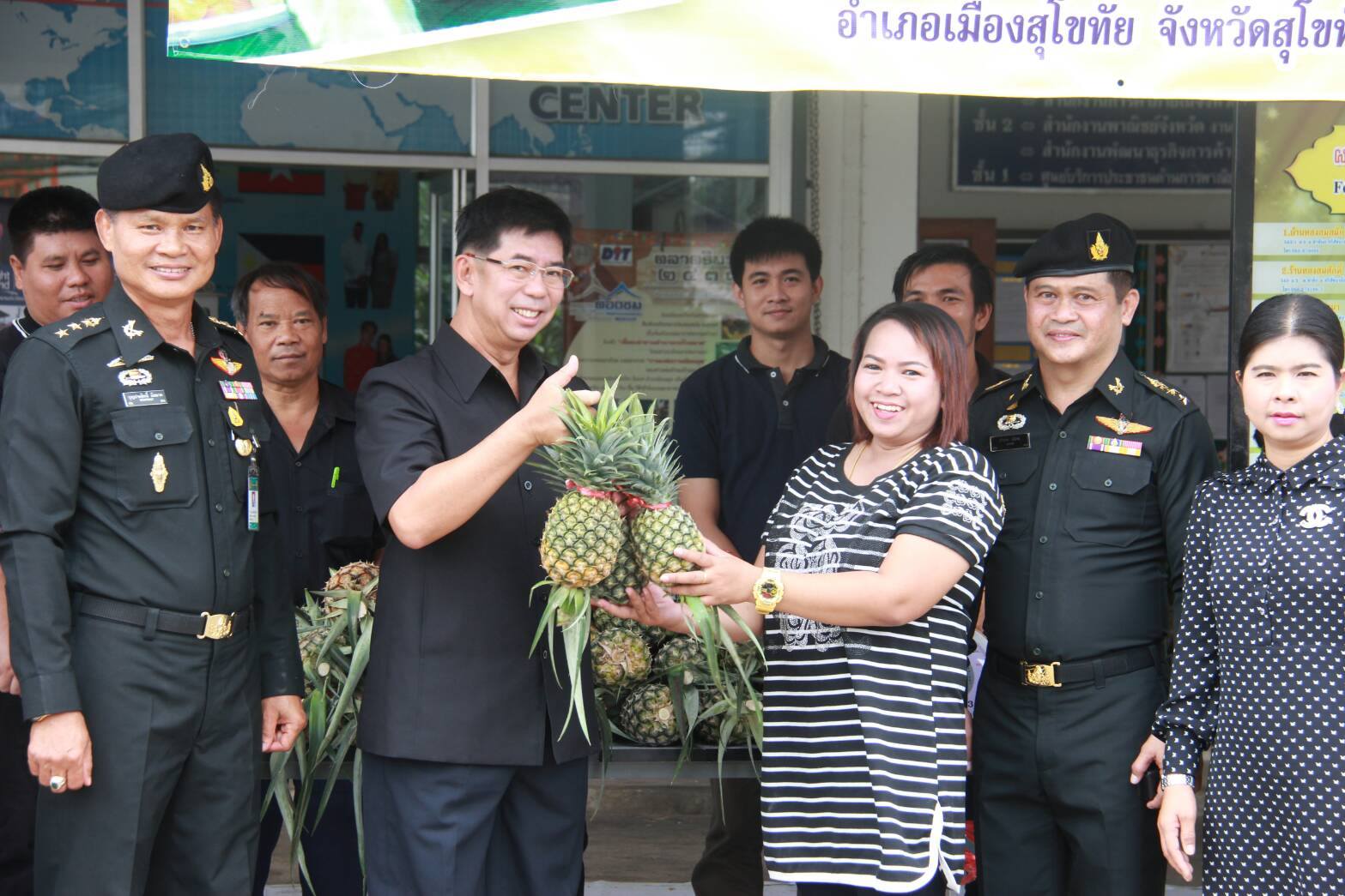 พช.สท.ขานรับนโยบายผู้ว่าราชการจังหวัดสุโขทัย ช่วยเหลือเกษตรกรผู้ปลูกสัปปะรดห้วยมุ่น