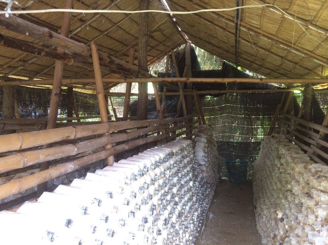 บริษัทประชารัฐฯ สุโขทัย ลงพื้นที่สำรวจความต้องการของกลุ่ม