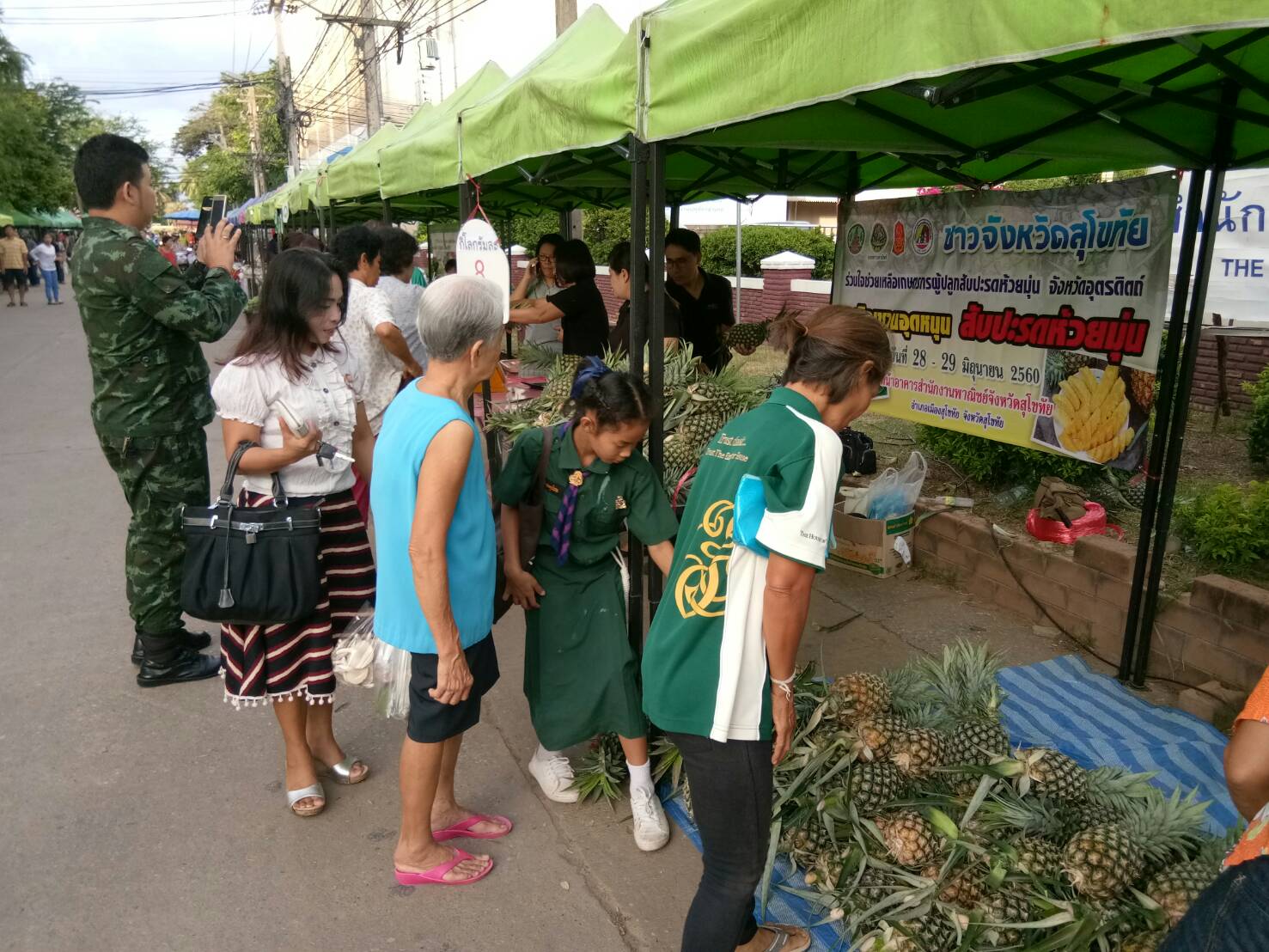 พช.สท.ขานรับนโยบายผู้ว่าราชการจังหวัดสุโขทัย ช่วยเหลือเกษตรกรผู้ปลูกสัปปะรดห้วยมุ่น
