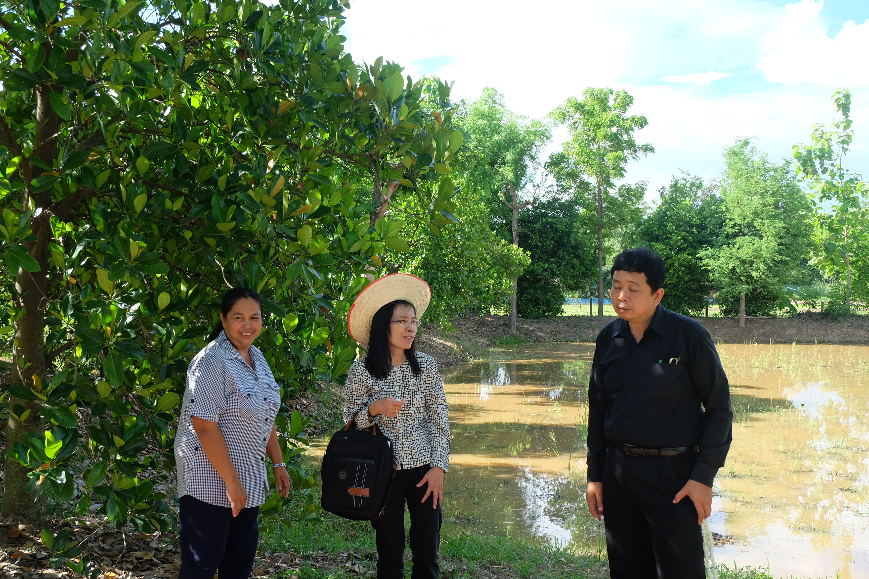 การคัดสรรกิจกรรมหมู่บ้านเศรษฐกิจพอเพียง “อยู่เย็น เป็นสุข” ดีเด่นระดับจังหวัด ประจำปี 2560 อำเภอเมืองสุโขทัย