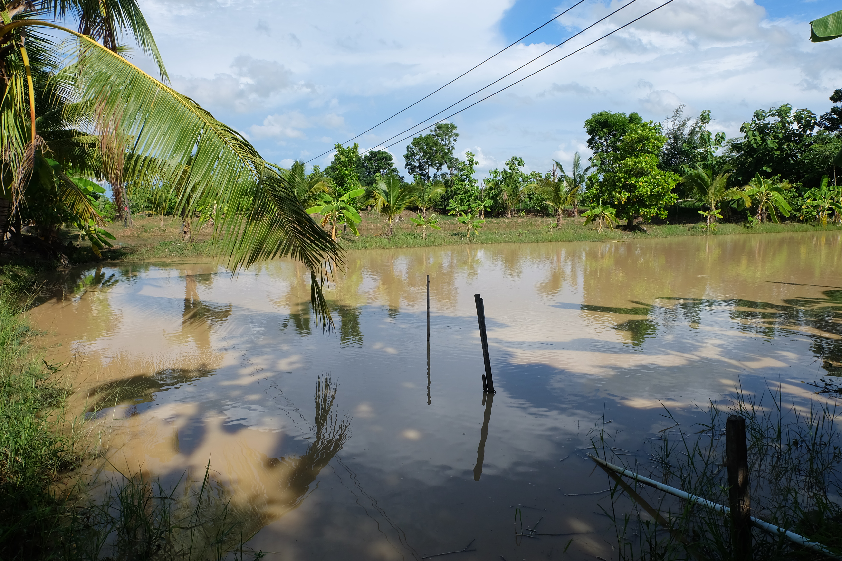 การคัดสรรกิจกรรมหมู่บ้านเศรษฐกิจพอเพียง “อยู่เย็น เป็นสุข” ดีเด่นระดับจังหวัด ประจำปี 2560 อำเภอเมืองสุโขทัย