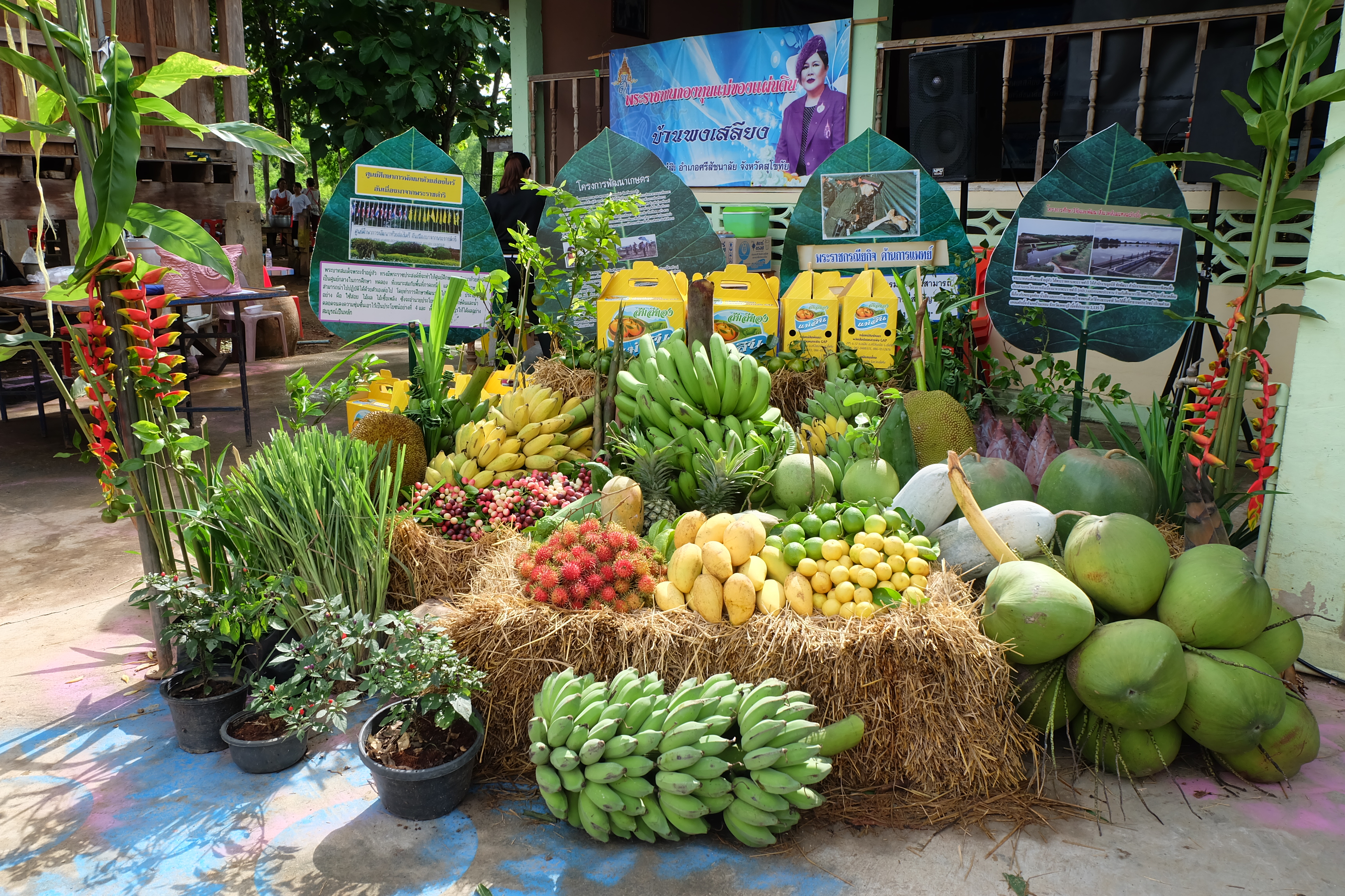 การคัดสรรกิจกรรมหมู่บ้านเศรษฐกิจพอเพียง “อยู่เย็น เป็นสุข” ดีเด่นระดับจังหวัด ประจำปี 2560 อำเภอศรีสัชนาลัย