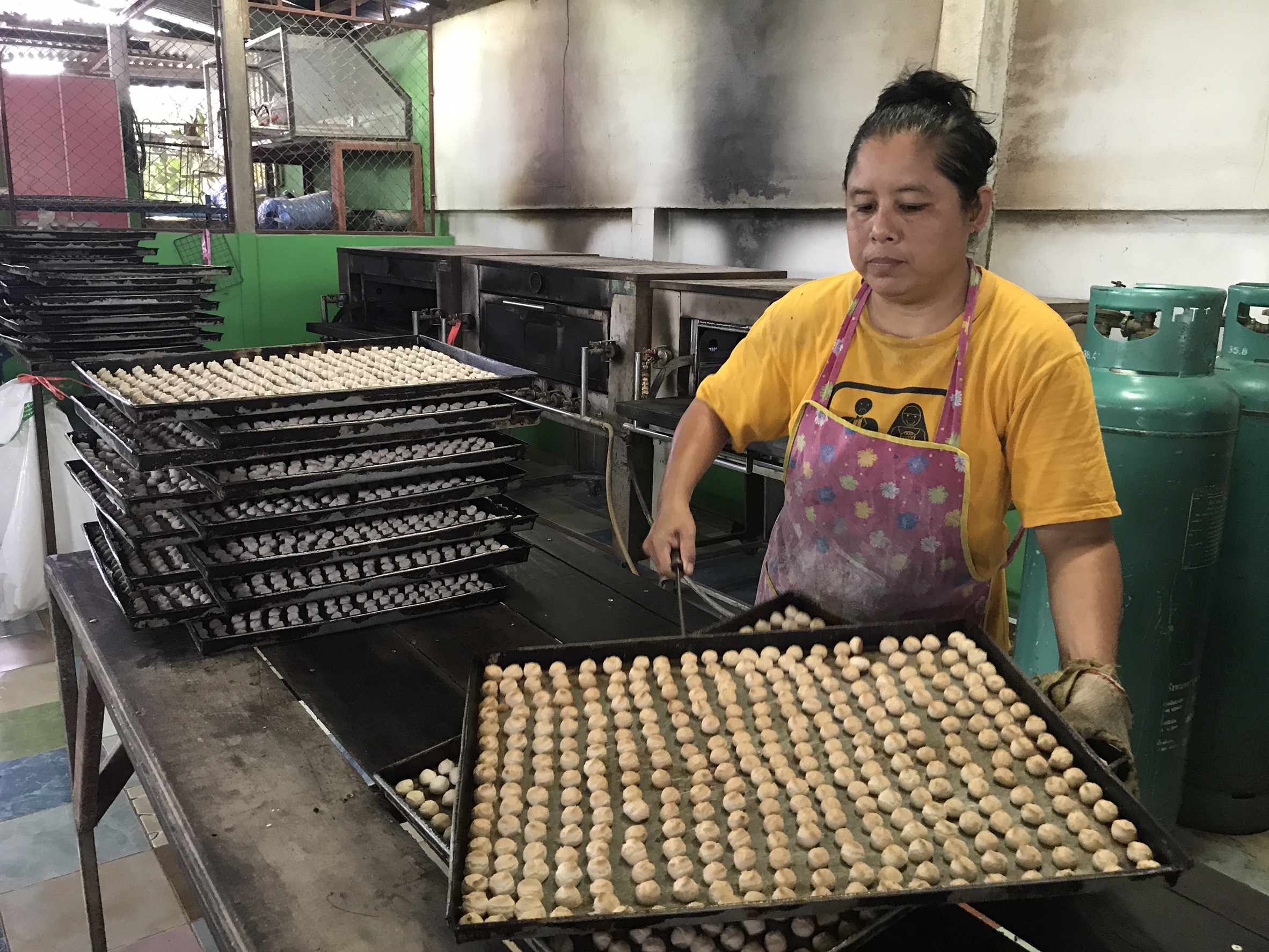 บริษัท ประชารัฐรักสามัคคีสุโขทัย(วิสาหกิจเพื่อสังคม)จำกัด ลงพื้นที่เก็บข้อมูล