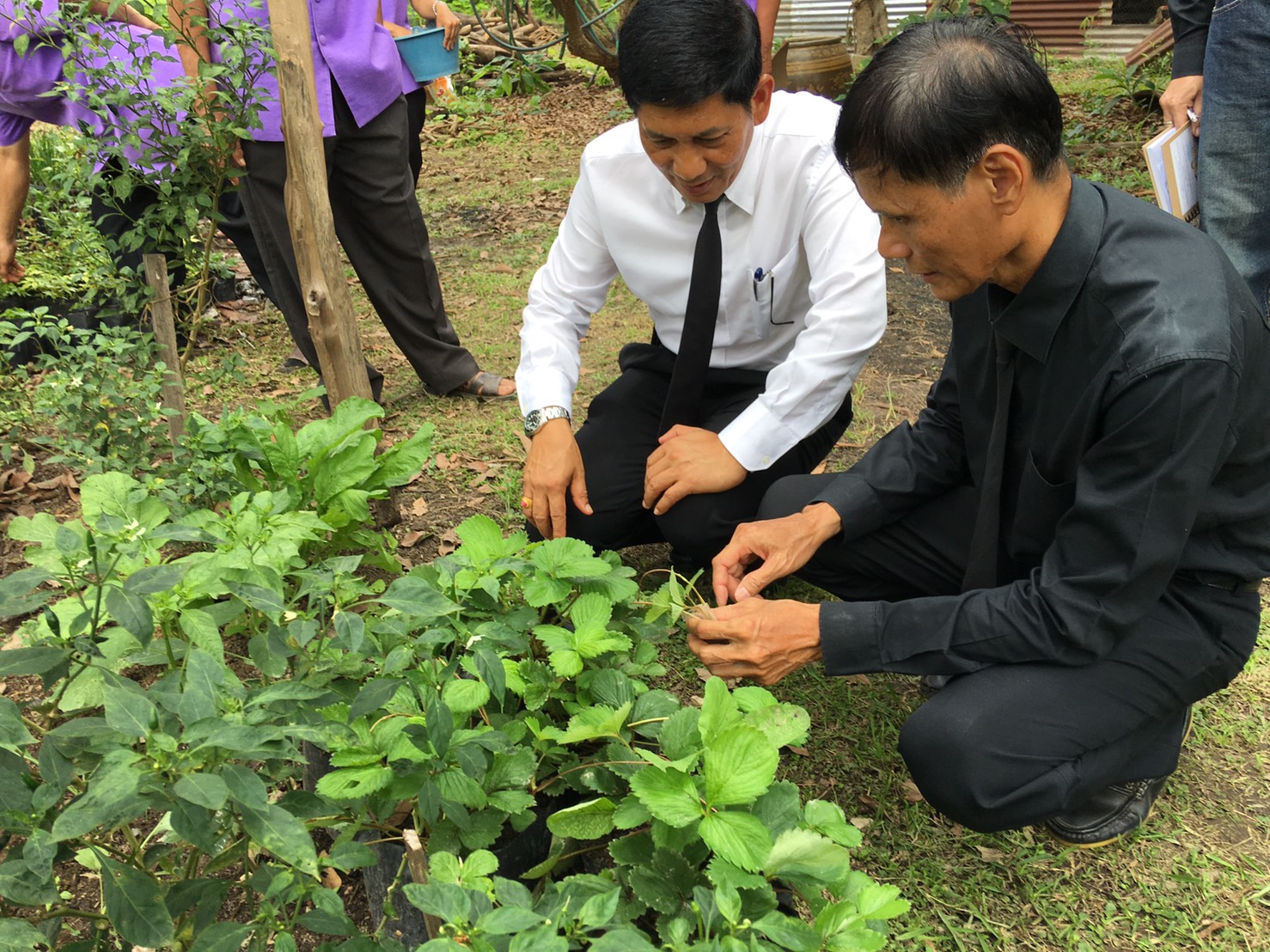 “ติดตามการดำเนินงานและถ่ายทำวีดีทัศน์การดำเนินงานศูนย์สาธิตการตลาดกลุ่มออมทรัพย์เพื่อการผลิตบ้านเชิงผา”