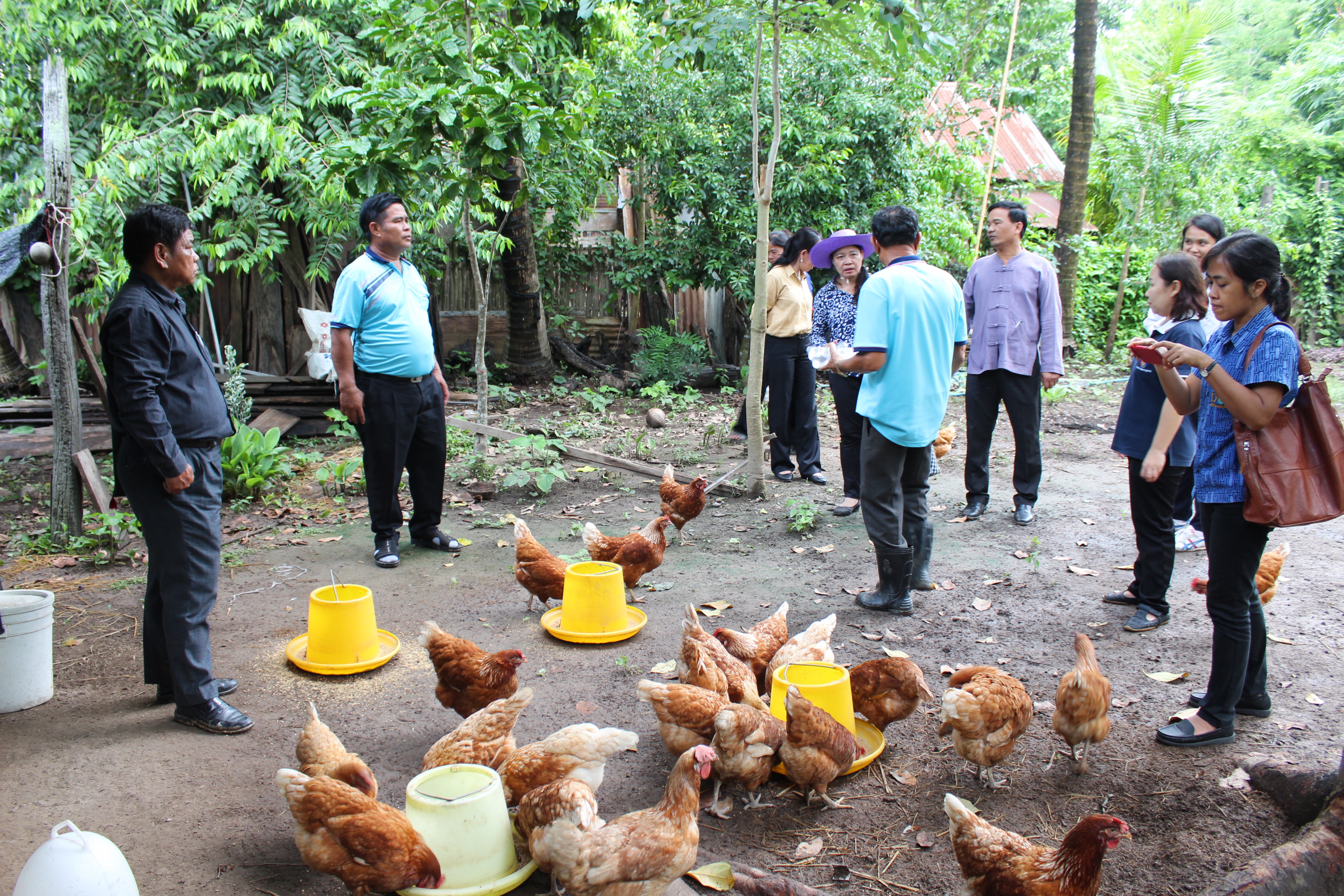 วันที่ 12 มิถุนายน 2561 นายสุวิน พึ่งเงิน พัฒนาการจังหวัดสุโขทัย มอบหมายให้นางสาวกฤษณา กันทะสา หัวหน้ากลุ่มงานยุทธศาสตร์ฯ และคณะกรรมการฯ ลงพื้นที่พิจารณาคัดสรรหมู่บ้านเศรษฐกิจพอเพียง “อยู่เย็น เป็นสุข” ประจำปี 2561 จังหวัดสุโขทัย เพื่อคัดสรรกิจกรรมพัฒนาชุมชนดีเด่นระดับจังหวัด สำหรับเข้ารับพระราชทานโล่รางวัลเพื่อเชิดชูเกียรติ