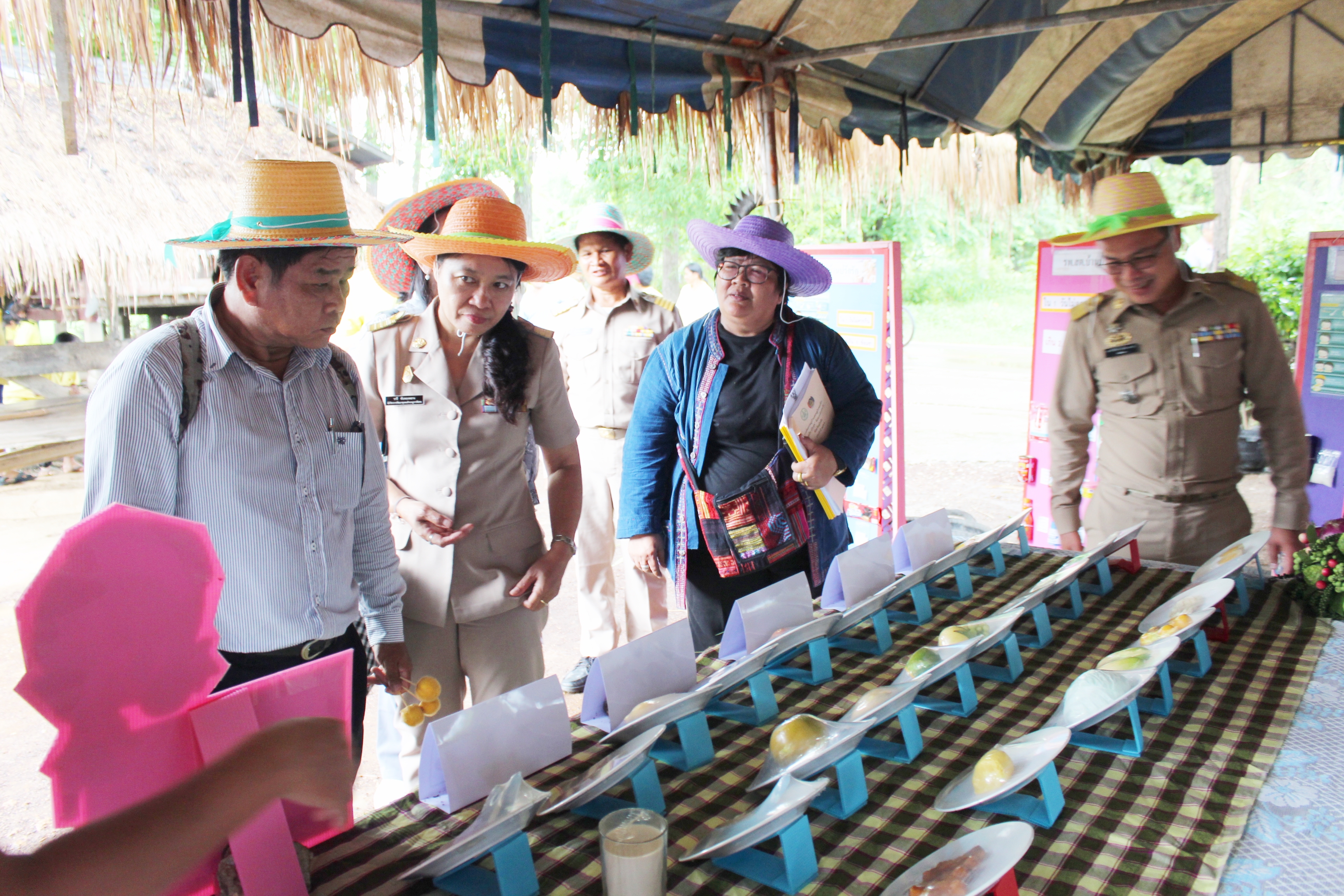 วันที่ 11 มิถุนายน 2561 นายสุวิน พึ่งเงิน พัฒนาการจังหวัดสุโขทัย มอบหมายให้นางสาวกฤษณา กันทะสา หัวหน้ากลุ่มงานยุทธศาสตร์ฯ และคณะกรรมการฯ ลงพื้นที่พิจารณาคัดสรรหมู่บ้านเศรษฐกิจพอเพียง “อยู่เย็น เป็นสุข” ประจำปี 2561 จังหวัดสุโขทัย