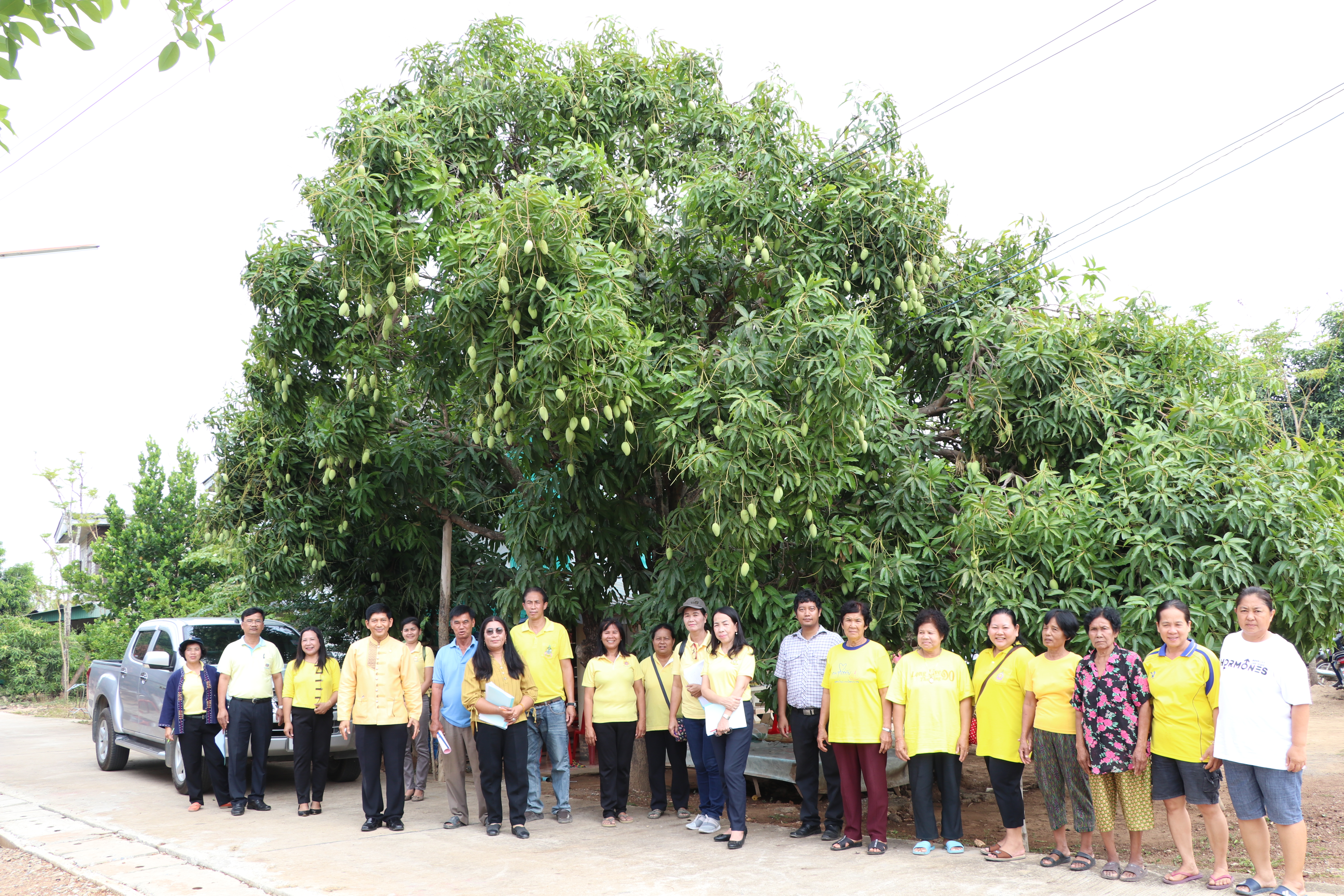 วันที่ 14 พฤษภาคม 2562 เวลา 09.30 น. นายสุวิน พึ่งเงิน พัฒนาการจังหวัดสุโขทัย เป็นประธานคัดเลือกครัวเรือนสัมมาชีพชุมชนตัวอย่าง ระดับจังหวัด ประจำปี 2562 (อำเภอศรีสำโรง)