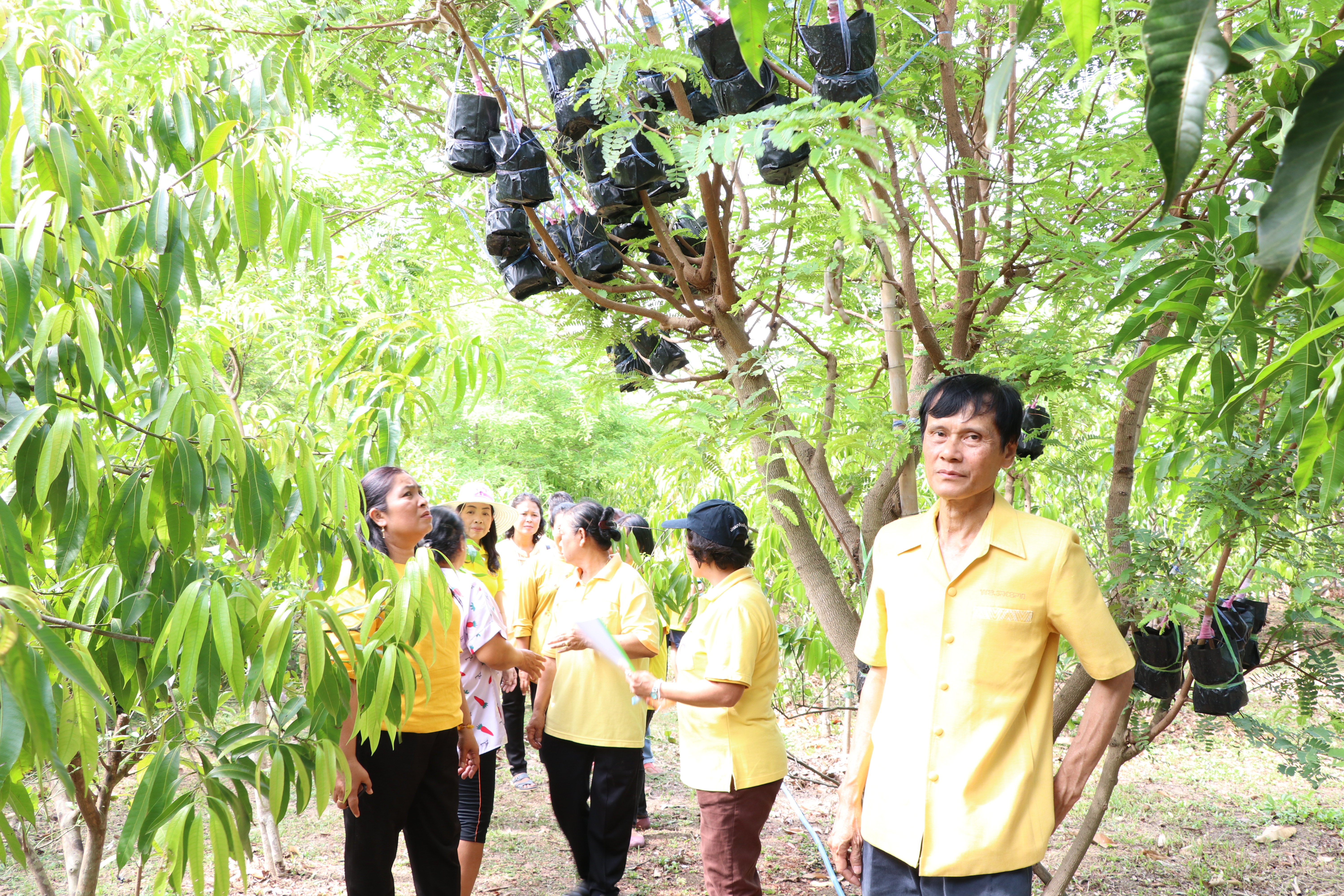 วันที่ 15 พฤษภาคม 2562 เวลา 13.30 น. นายสุวิน พึ่งเงิน พัฒนาการจังหวัดสุโขทัย มอบหมายให้นายบรรพจน์ จันทร์งาม หัวหน้ากลุ่มงานส่งเสริมฯ เป็นประธานคัดเลือกครัวเรือนสัมมาชีพชุมชนตัวอย่าง ระดับจังหวัด ประจำปี 2562