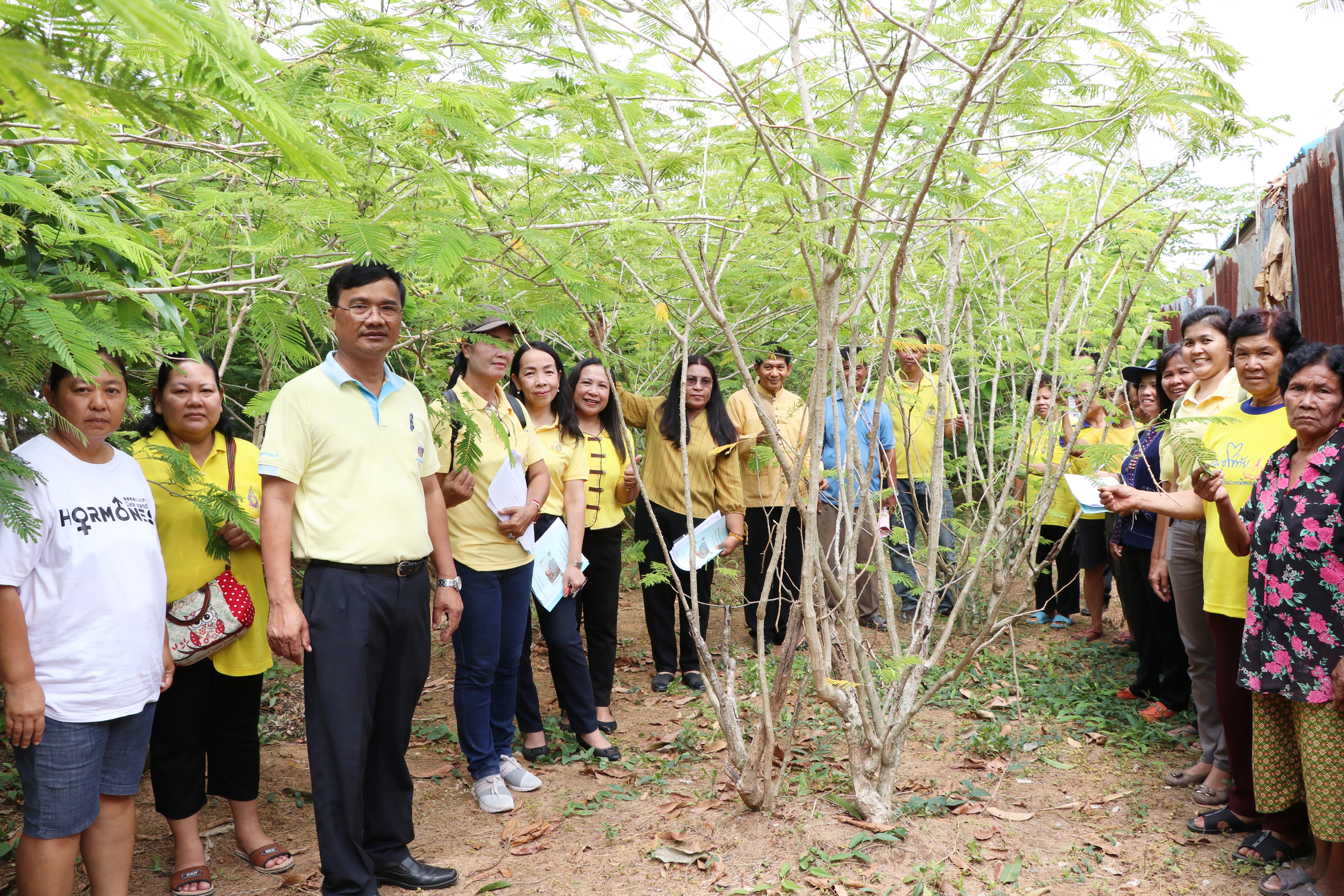 วันที่ 14 พฤษภาคม 2562 เวลา 09.30 น. นายสุวิน พึ่งเงิน พัฒนาการจังหวัดสุโขทัย เป็นประธานคัดเลือกครัวเรือนสัมมาชีพชุมชนตัวอย่าง ระดับจังหวัด ประจำปี 2562 (อำเภอศรีสำโรง)