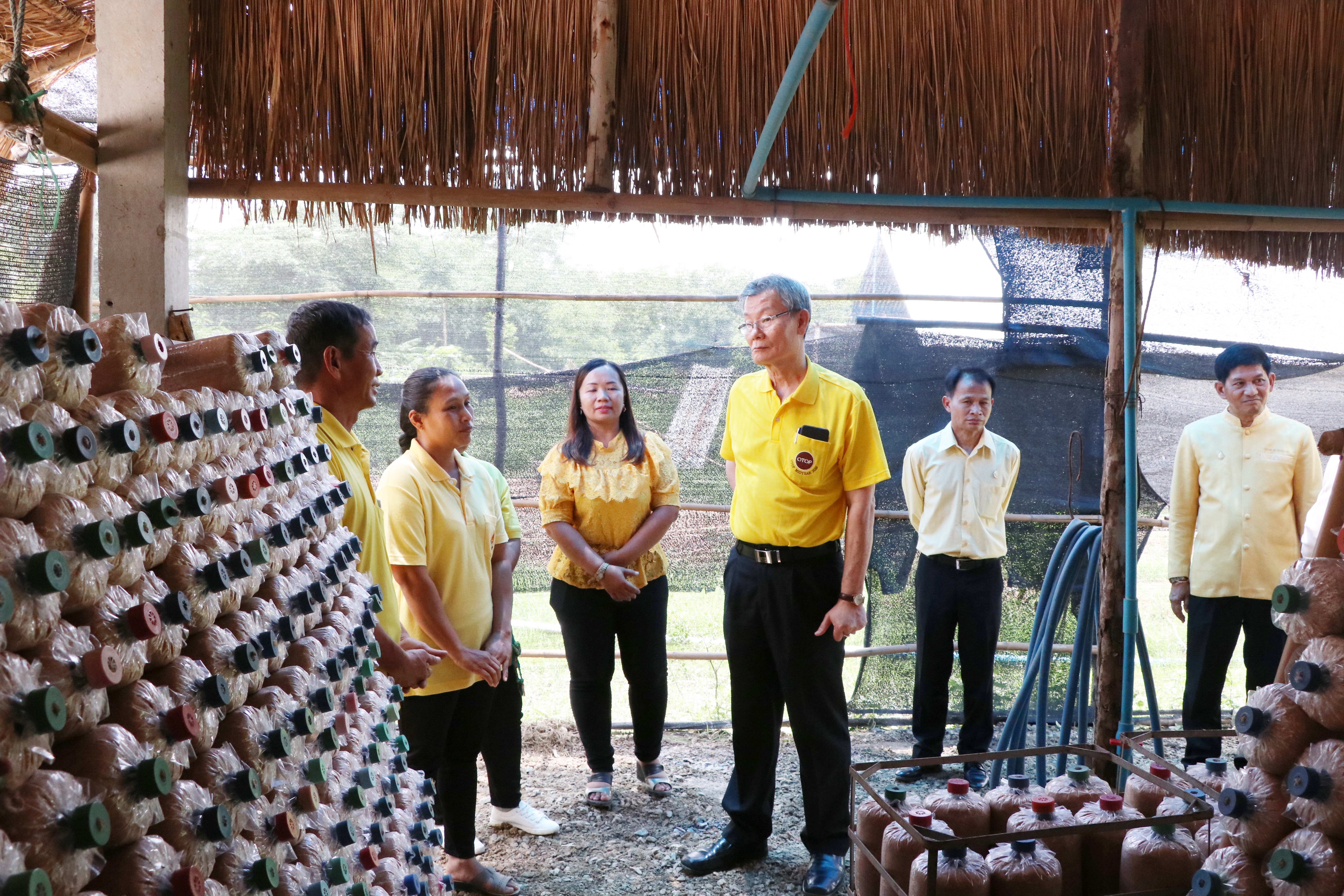 วันที่ 4 กรกฎาคม 2562 เวลา 09.00 น. นายไพบูลย์ บูรณสันติ ผู้ตรวจราชการกรมการพัฒนาชุมชน เขตตรวจราชการ ที่ 17,18 พร้อมด้วยคณะกรรมการตรวจติดตามคัดเลือกฯ ประจำปี 2562 ลงพื้นที่พิจารณาคัดเลือกกิจกรรมกลุ่มอาชีพกองทุนพัฒนาบทบาทสตรีดีเด่น (กลุ่มเพาะเห็ดนางฟ้า) หมู่ 6 ต.นาทุ่ง อ.สวรรคโลก จังหวัดสุโขทัย