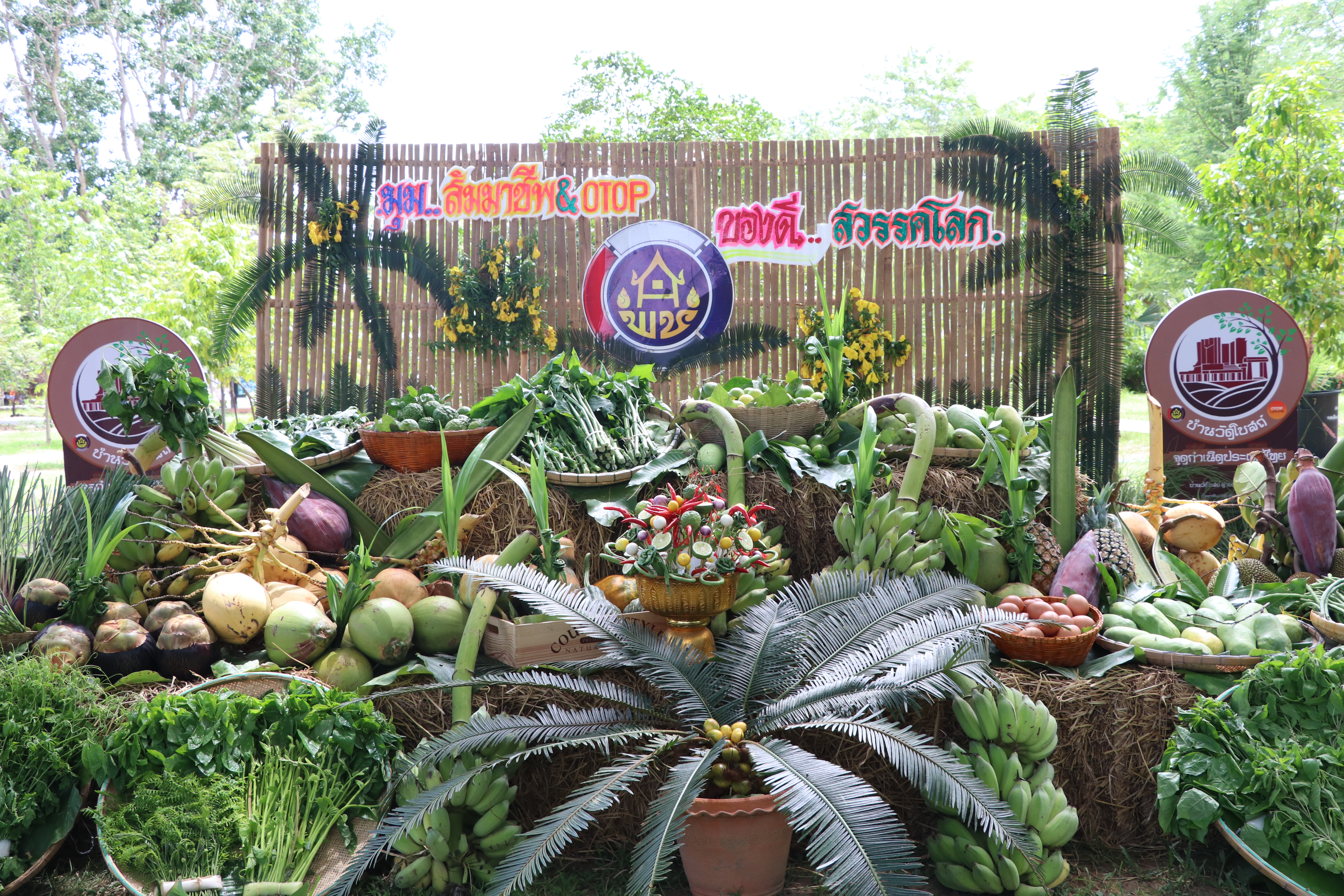 “รองอธิบดีกรมการพัฒนาชุมชน ติดตามการดำเนินงาน โครงการหมู่บ้านเศรษฐกิจพอเพียงเฉลิมพระเกียรติ มั่นคง มั่งคั่ง ยั่งยืน เนื่องในโอกาสมหามงคลพระราชพิธีบรมราชาภิเษก “ในพื้นที่จังหวัดสุโขทัย