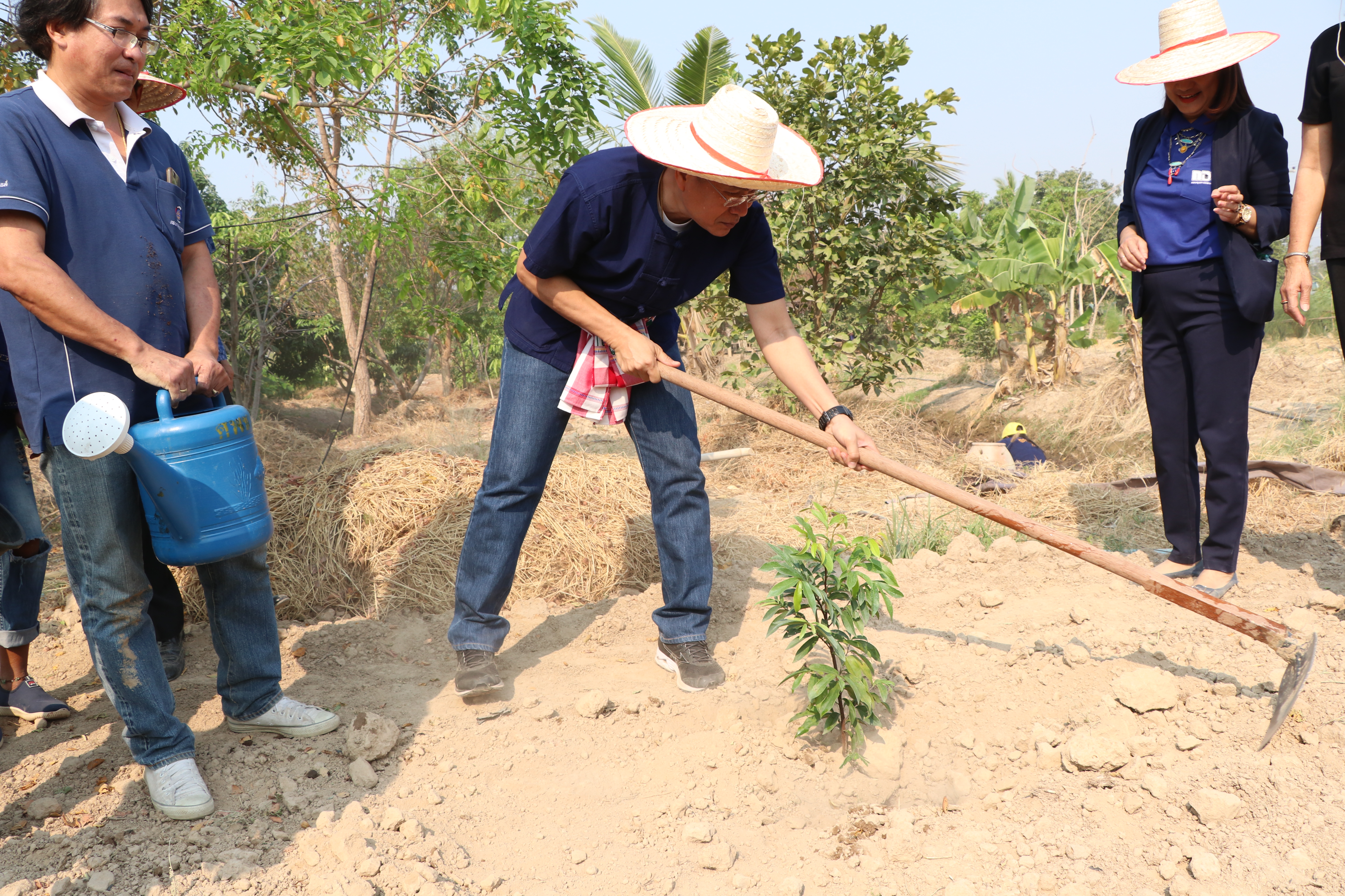 สุโขทัย เมืองผาสุกด้วยศาสตร์พระราชา เอามื้อสามัคคี “โคก หนอง นา โมเดล” จุดตัวอย่าง “จอบแรก” ณ บ้านนายนิธิกร รอดมา บ้านเลขที่ 14 ม. 6 ต.เมืองเก่า อ.เมืองสุโขทัย จ.สุโขทัย