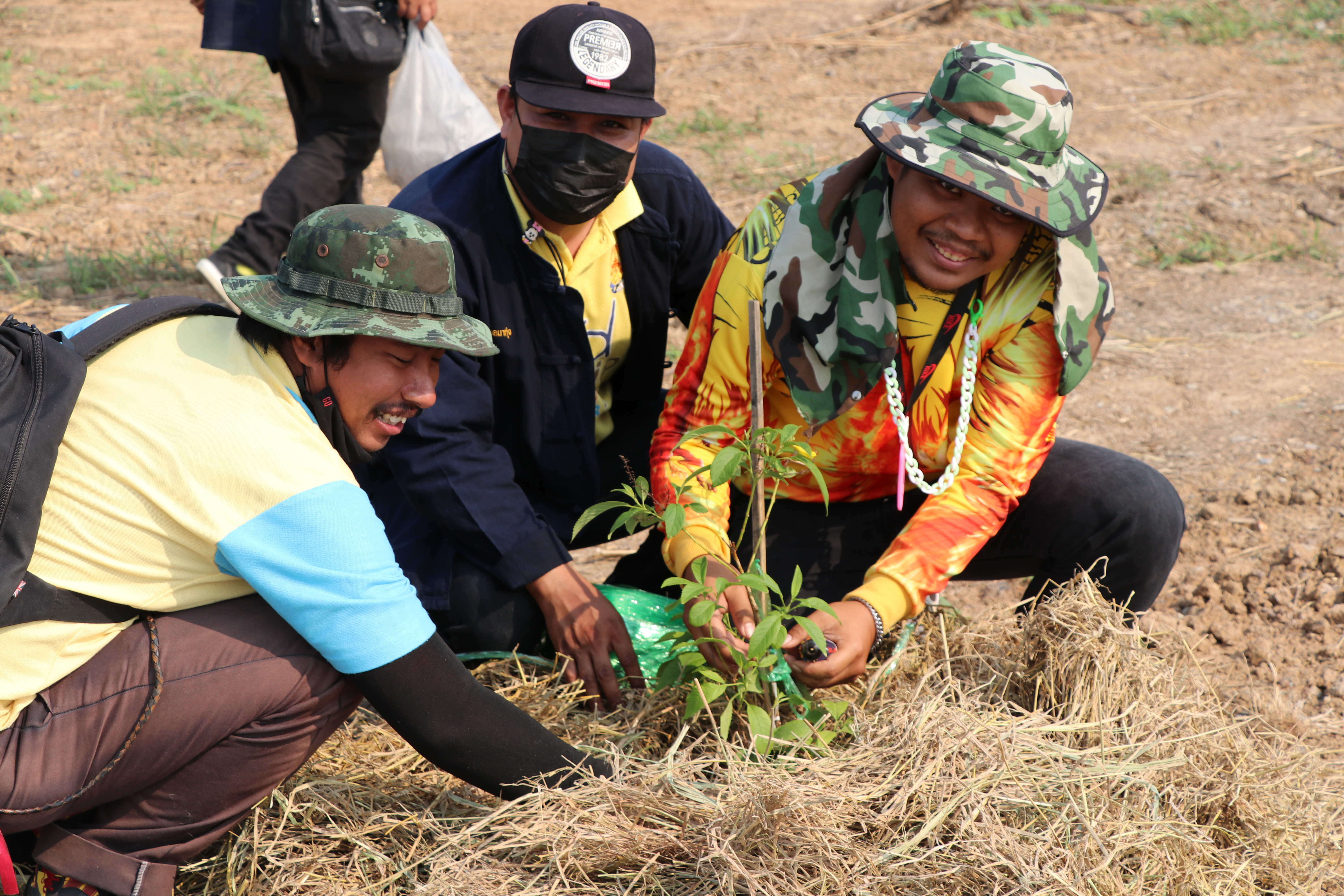 จังหวัดสุโขทัยบูรณาการภาคีการพัฒนา จัดกิจกรรมจิตอาสาพัฒนา “เอามื้อสามัคคี ห่มดิน” ต้นทองอุไร 2,500 ต้น รอบแผ่นดินรูปหัวใจ เตรียมความพร้อมการรับเสด็จพระบาทสมเด็จพระเจ้าอยู่หัว และสมเด็จพระนางเจ้าฯ พระบรมราชินี ทรงประกอบพิธีวางศิลาฤกษ์ และทรงเปิดอาคารที่ทำการศาลจังหวัดสุโขทัย