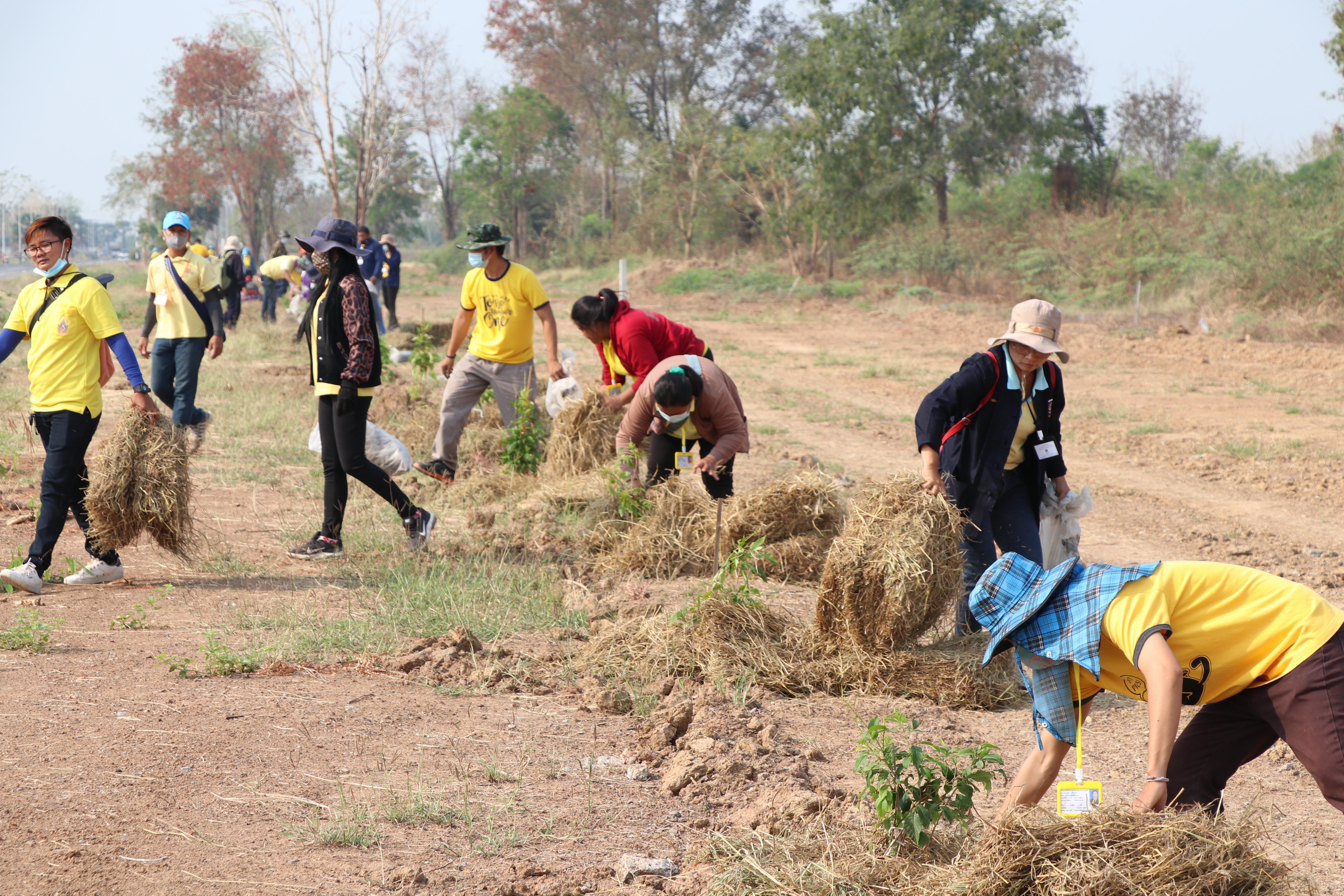 จังหวัดสุโขทัยบูรณาการภาคีการพัฒนา จัดกิจกรรมจิตอาสาพัฒนา “เอามื้อสามัคคี ห่มดิน” ต้นทองอุไร 2,500 ต้น รอบแผ่นดินรูปหัวใจ เตรียมความพร้อมการรับเสด็จพระบาทสมเด็จพระเจ้าอยู่หัว และสมเด็จพระนางเจ้าฯ พระบรมราชินี ทรงประกอบพิธีวางศิลาฤกษ์ และทรงเปิดอาคารที่ทำการศาลจังหวัดสุโขทัย