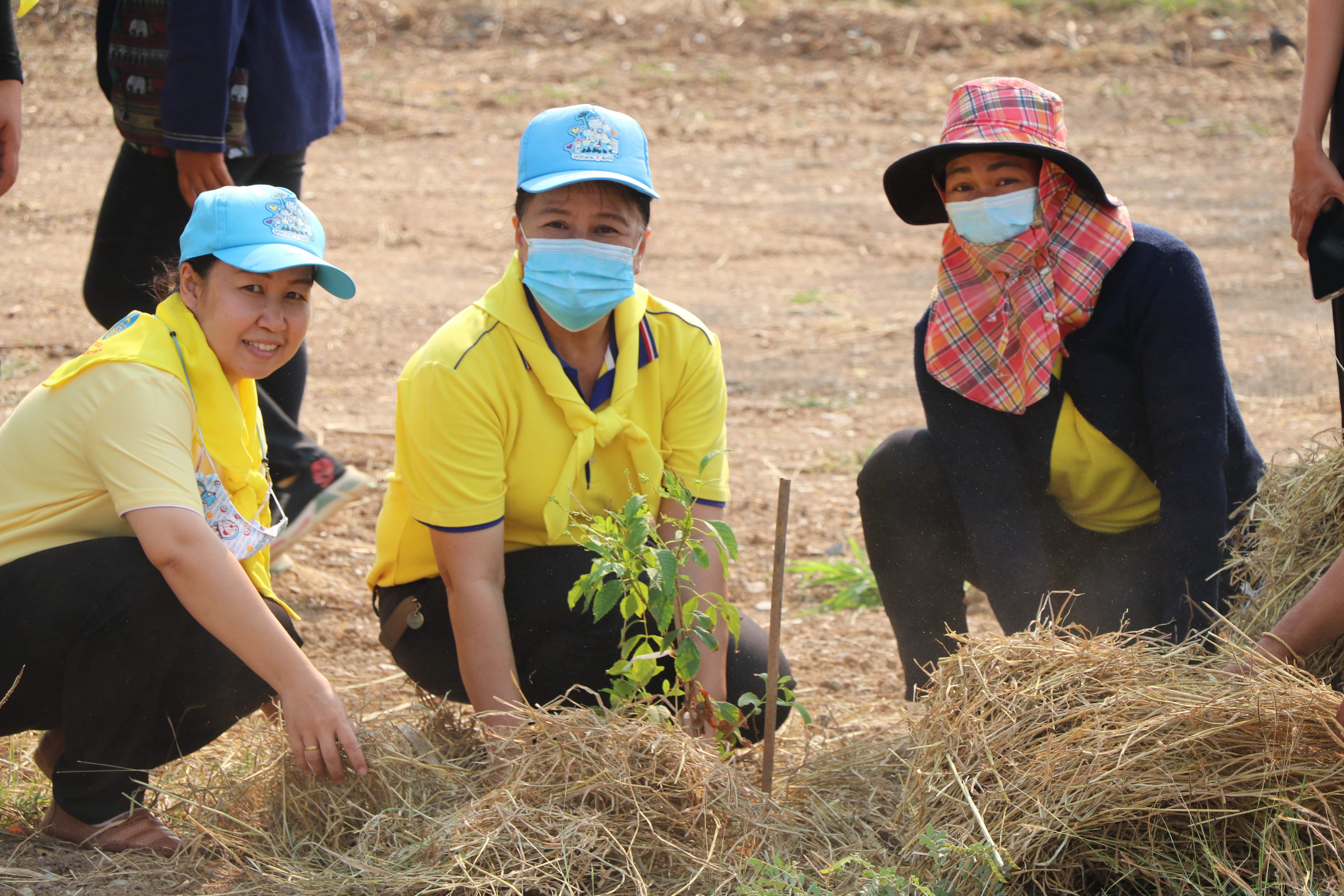 จังหวัดสุโขทัยบูรณาการภาคีการพัฒนา จัดกิจกรรมจิตอาสาพัฒนา “เอามื้อสามัคคี ห่มดิน” ต้นทองอุไร 2,500 ต้น รอบแผ่นดินรูปหัวใจ เตรียมความพร้อมการรับเสด็จพระบาทสมเด็จพระเจ้าอยู่หัว และสมเด็จพระนางเจ้าฯ พระบรมราชินี ทรงประกอบพิธีวางศิลาฤกษ์ และทรงเปิดอาคารที่ทำการศาลจังหวัดสุโขทัย