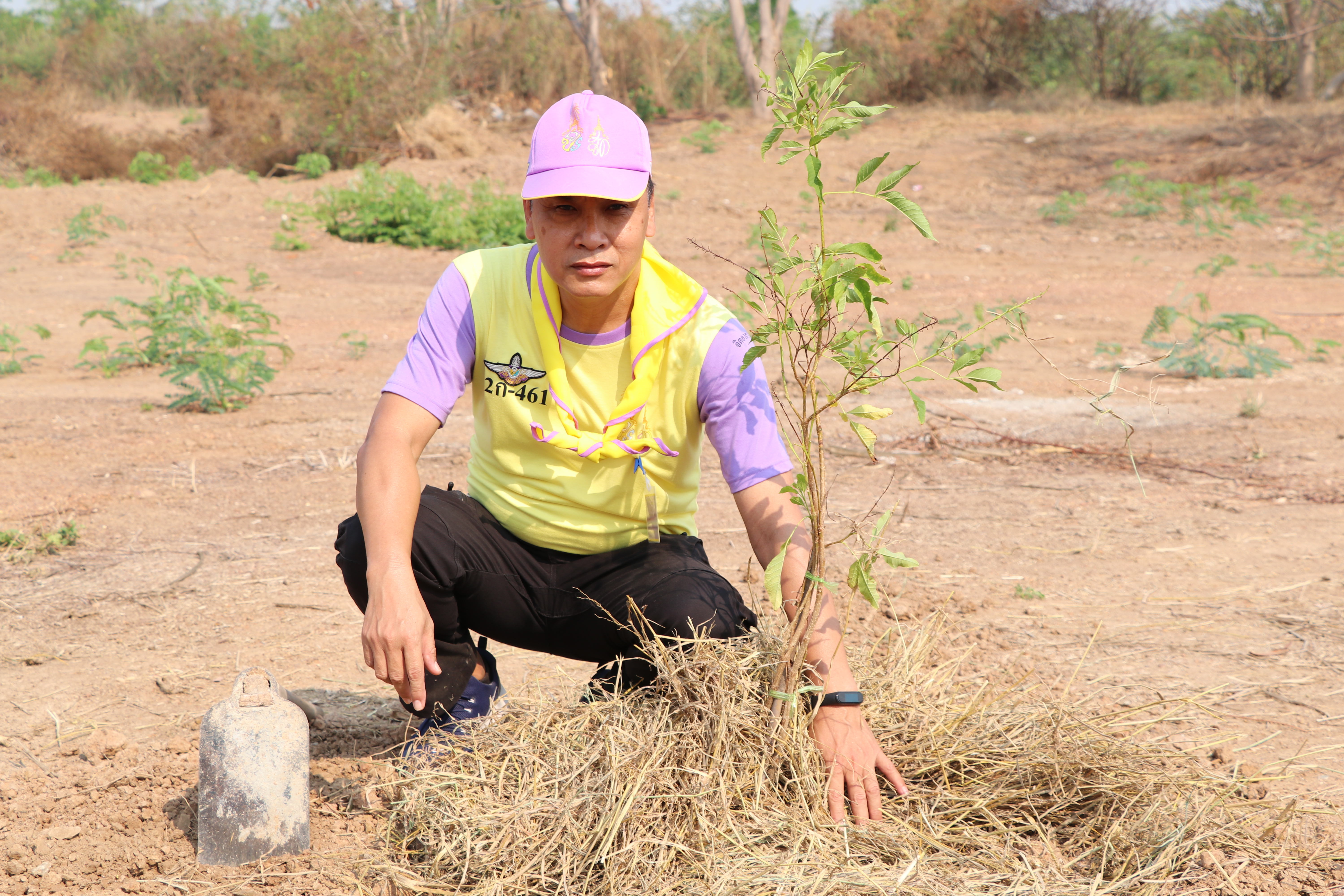 จังหวัดสุโขทัยบูรณาการภาคีการพัฒนา จัดกิจกรรมจิตอาสาพัฒนา “เอามื้อสามัคคี ห่มดิน” ต้นทองอุไร 2,500 ต้น รอบแผ่นดินรูปหัวใจ เตรียมความพร้อมการรับเสด็จพระบาทสมเด็จพระเจ้าอยู่หัว และสมเด็จพระนางเจ้าฯ พระบรมราชินี ทรงประกอบพิธีวางศิลาฤกษ์ และทรงเปิดอาคารที่ทำการศาลจังหวัดสุโขทัย