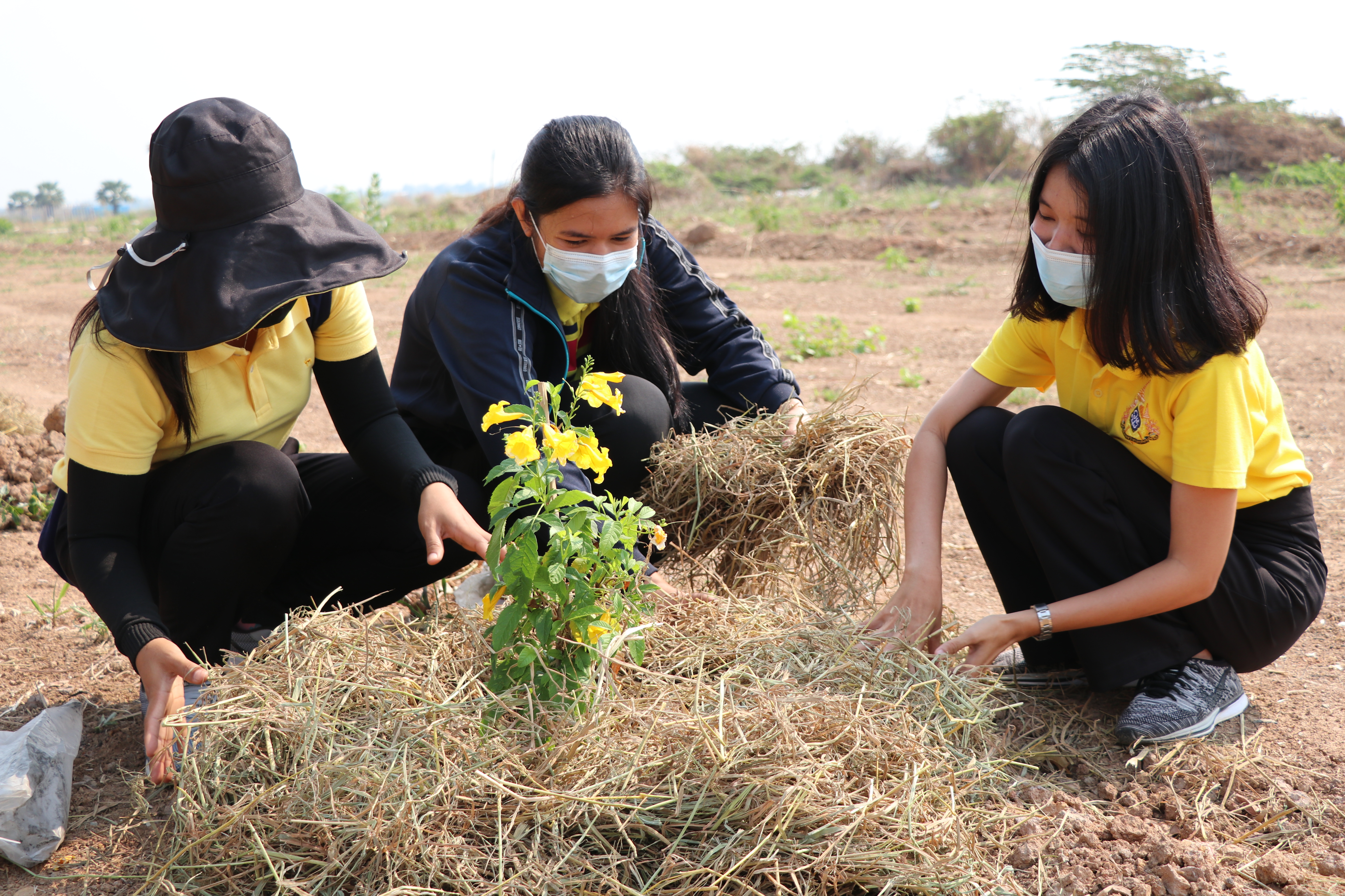 จังหวัดสุโขทัยบูรณาการภาคีการพัฒนา จัดกิจกรรมจิตอาสาพัฒนา “เอามื้อสามัคคี ห่มดิน” ต้นทองอุไร 2,500 ต้น รอบแผ่นดินรูปหัวใจ เตรียมความพร้อมการรับเสด็จพระบาทสมเด็จพระเจ้าอยู่หัว และสมเด็จพระนางเจ้าฯ พระบรมราชินี ทรงประกอบพิธีวางศิลาฤกษ์ และทรงเปิดอาคารที่ทำการศาลจังหวัดสุโขทัย