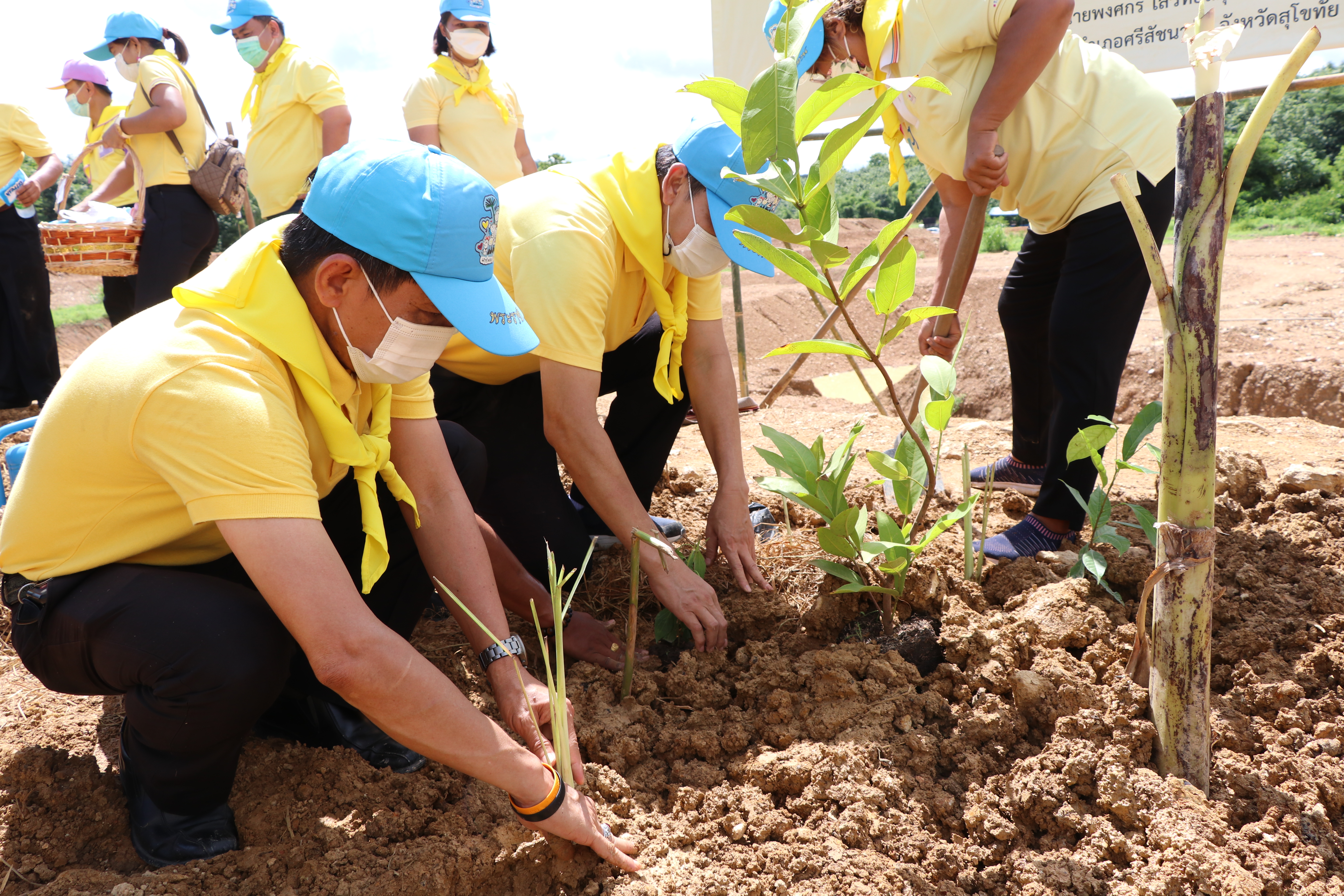 สุโขทัย Kick off “จิตอาสาพัฒนาชุมชนเอามื้อสามัคคี”ปลูกพืชสมุนไพร กระชาย ฟ้าทะลายโจร ขิง ข่า ตะไคร้ สู้ภัย COVID-19 สร้างความมั่นคงทางด้านอาหาร บนพื้นที่แปลง CLM โคก หนอง นา พช. เฉลิมพระเกียรติเนื่องในโอกาสมหามงคลเฉลิมพระชนมพรรษา พระบาทสมเด็จพระปรเมนทรรามาธิบดีศรีสินทรมหาวชิราลงกรณ พระวชิรเกล้าเจ้าอยู่หัว