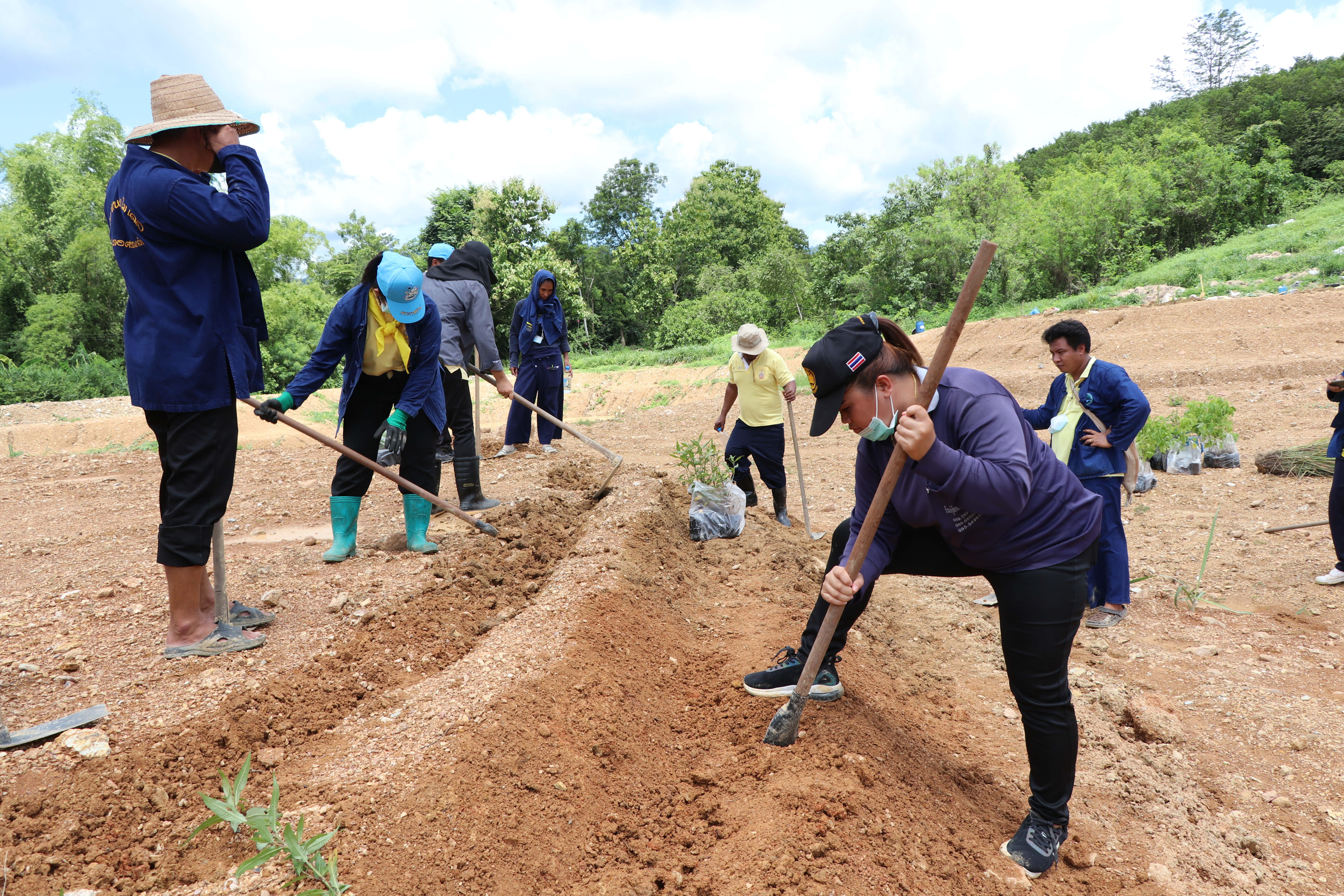 สุโขทัย Kick off “จิตอาสาพัฒนาชุมชนเอามื้อสามัคคี”ปลูกพืชสมุนไพร กระชาย ฟ้าทะลายโจร ขิง ข่า ตะไคร้ สู้ภัย COVID-19 สร้างความมั่นคงทางด้านอาหาร บนพื้นที่แปลง CLM โคก หนอง นา พช. เฉลิมพระเกียรติเนื่องในโอกาสมหามงคลเฉลิมพระชนมพรรษา พระบาทสมเด็จพระปรเมนทรรามาธิบดีศรีสินทรมหาวชิราลงกรณ พระวชิรเกล้าเจ้าอยู่หัว