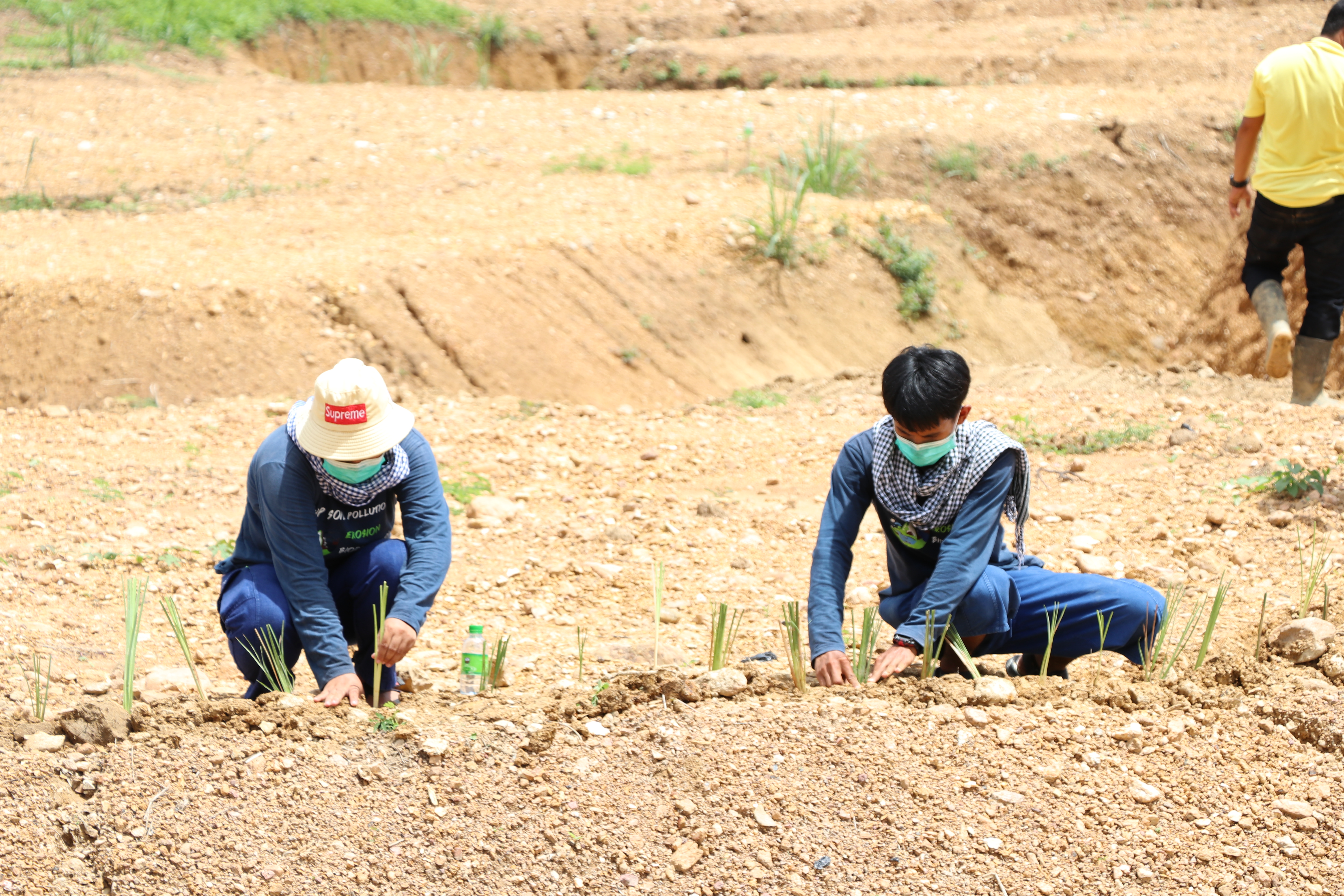 สุโขทัย Kick off “จิตอาสาพัฒนาชุมชนเอามื้อสามัคคี”ปลูกพืชสมุนไพร กระชาย ฟ้าทะลายโจร ขิง ข่า ตะไคร้ สู้ภัย COVID-19 สร้างความมั่นคงทางด้านอาหาร บนพื้นที่แปลง CLM โคก หนอง นา พช. เฉลิมพระเกียรติเนื่องในโอกาสมหามงคลเฉลิมพระชนมพรรษา พระบาทสมเด็จพระปรเมนทรรามาธิบดีศรีสินทรมหาวชิราลงกรณ พระวชิรเกล้าเจ้าอยู่หัว
