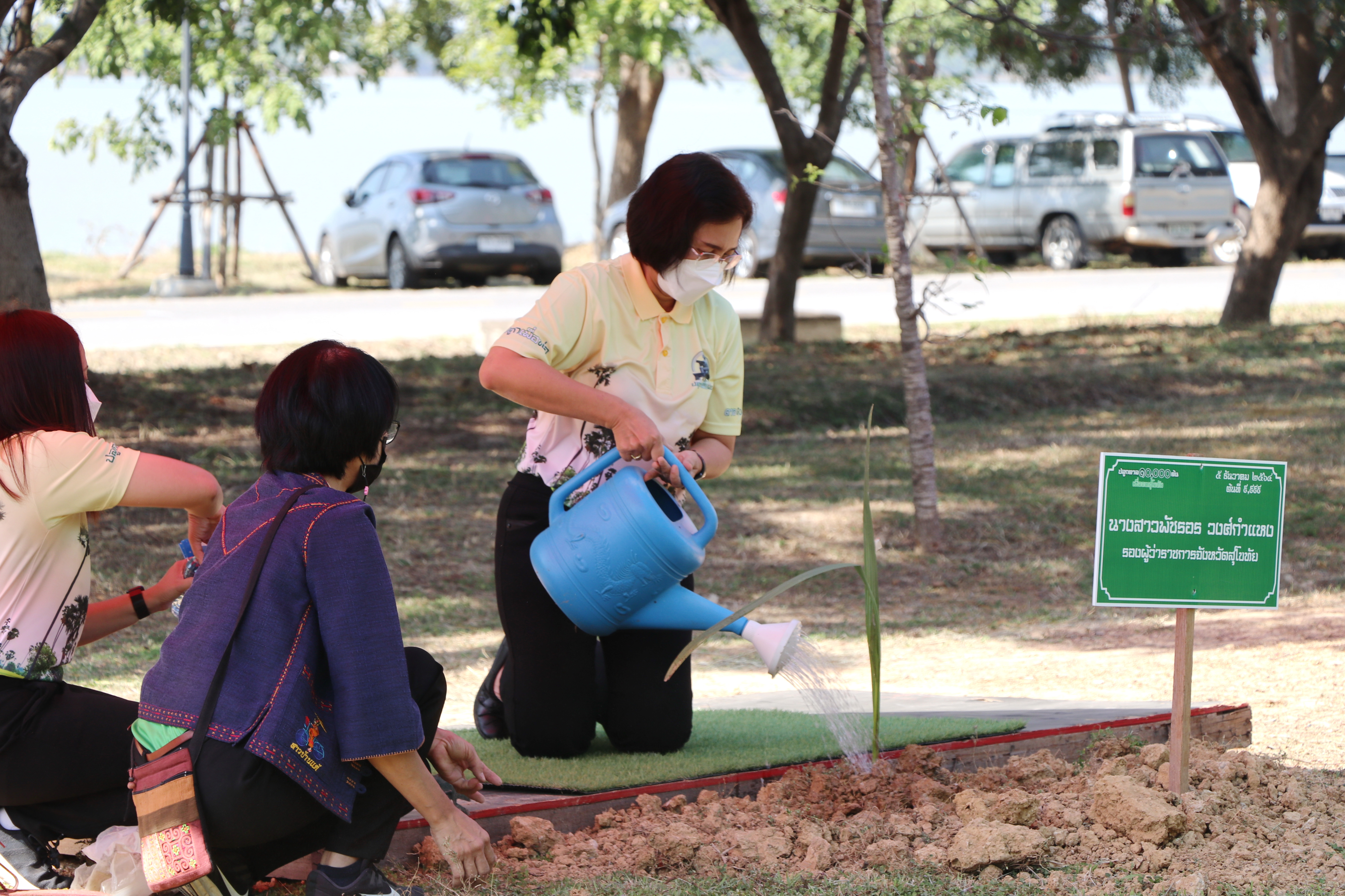 พ่อเมืองสุโขทัย นำทัพ ปลูกตาลต้นที่ 10,000 ปลูกเพื่อพ่อ “ปลูกตาล 10,000 ต้น เพื่อคนสุโขทัย” เนื่องในวันคล้ายวันพระราชสมภพ พระบาทสมเด็จพระบรมชนกาธิเบศร มหาภูมิพลอดุลยเดชมหาราช บรมนาถบพิตร ซึ่งเป็นวันชาติ วันพ่อแห่งชาติ และวันดินโลก (World Soil Day) ณ เกาะกลางรูปหัวใจทุ่งทะเลหลวง อำเภอเมืองสุโขทัย จังหวัดสุโขทัย