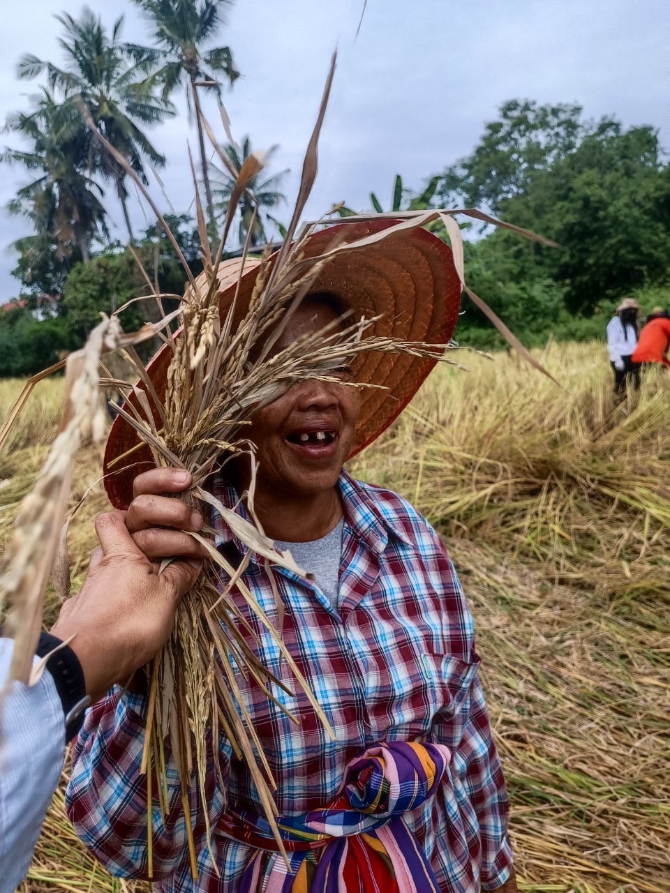 จังหวัดสุโขทัย ร่วมกิจกรรมเอามื้อสามัคคีเครือข่ายโคกหนองนาตำบล บ้านสวน อำเภอเมืองสุโขทัย
