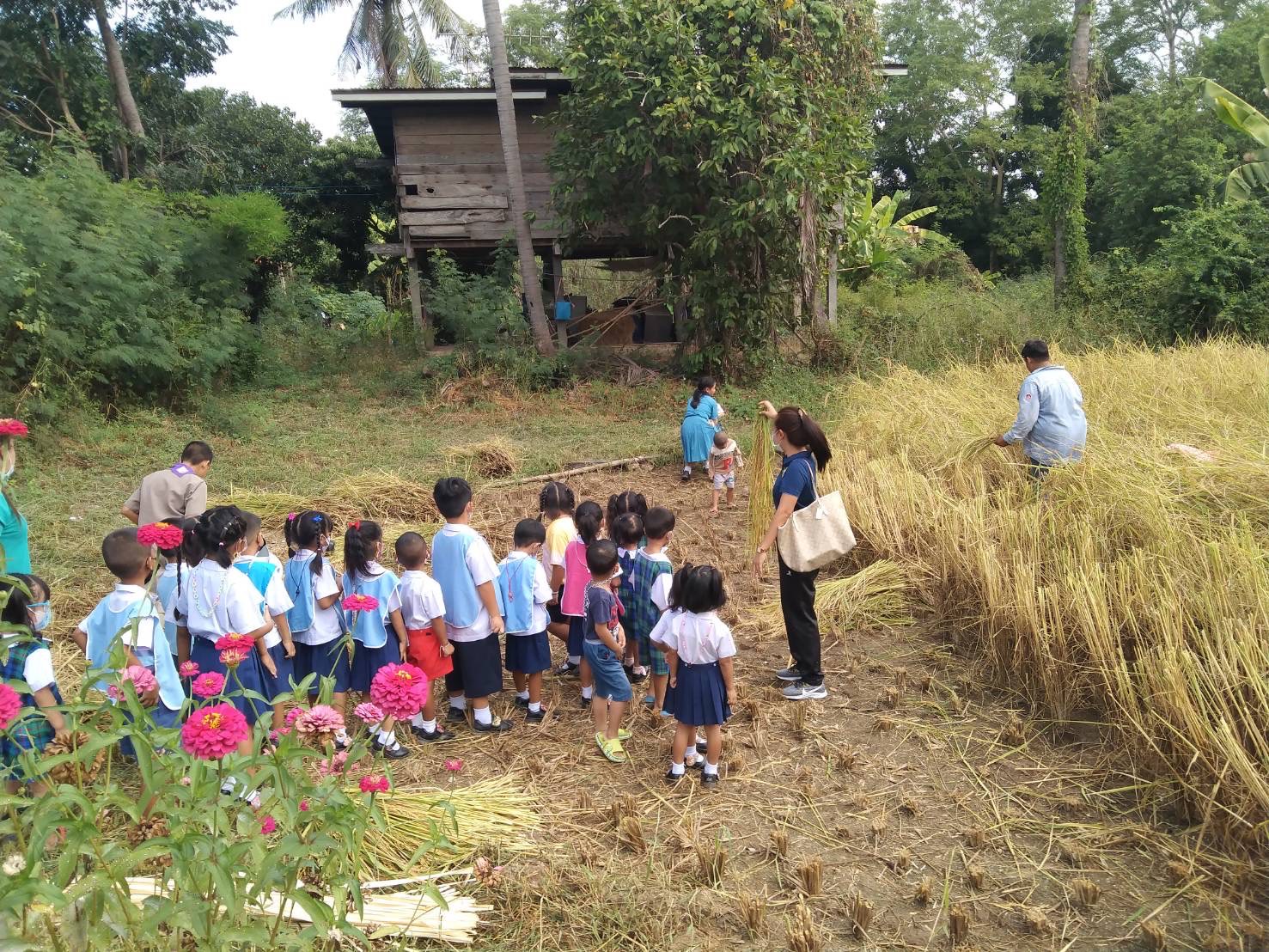 จังหวัดสุโขทัย ร่วมกิจกรรมเอามื้อสามัคคีเครือข่ายโคกหนองนาตำบล บ้านสวน อำเภอเมืองสุโขทัย