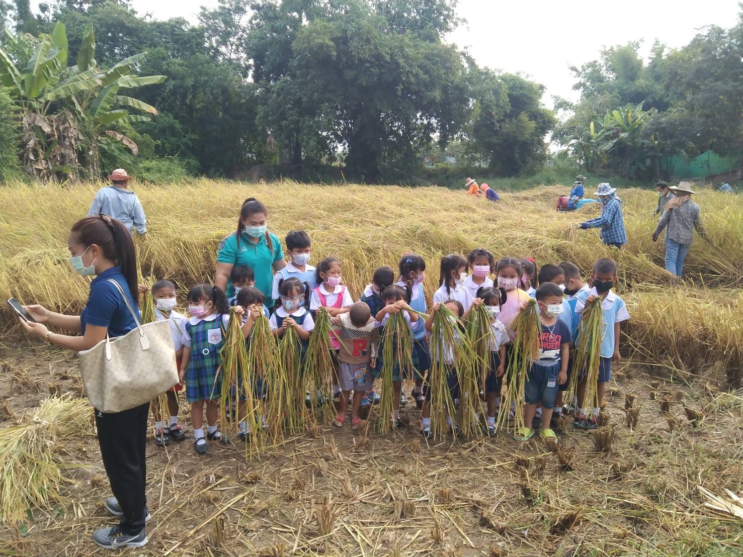 จังหวัดสุโขทัย ร่วมกิจกรรมเอามื้อสามัคคีเครือข่ายโคกหนองนาตำบล บ้านสวน อำเภอเมืองสุโขทัย