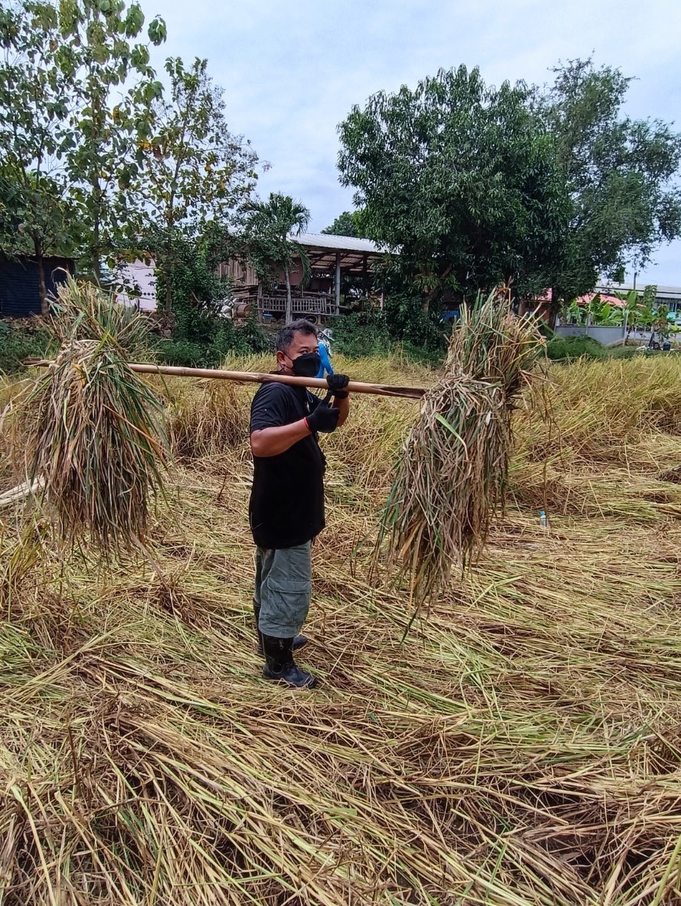 จังหวัดสุโขทัย ร่วมกิจกรรมเอามื้อสามัคคีเครือข่ายโคกหนองนาตำบล บ้านสวน อำเภอเมืองสุโขทัย