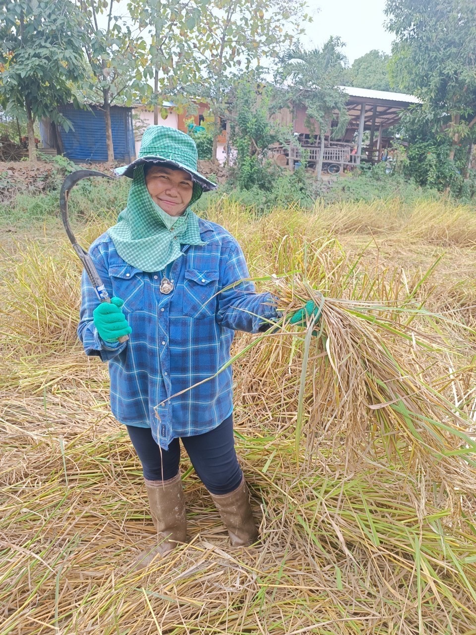 จังหวัดสุโขทัย ร่วมกิจกรรมเอามื้อสามัคคีเครือข่ายโคกหนองนาตำบล บ้านสวน อำเภอเมืองสุโขทัย