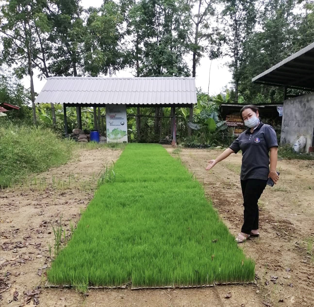จังหวัดสุโขทัยเยี่ยมเยือน ให้กำลังใจ และติดตาม โคก หนอง นา อำเภอศรีสำโรง