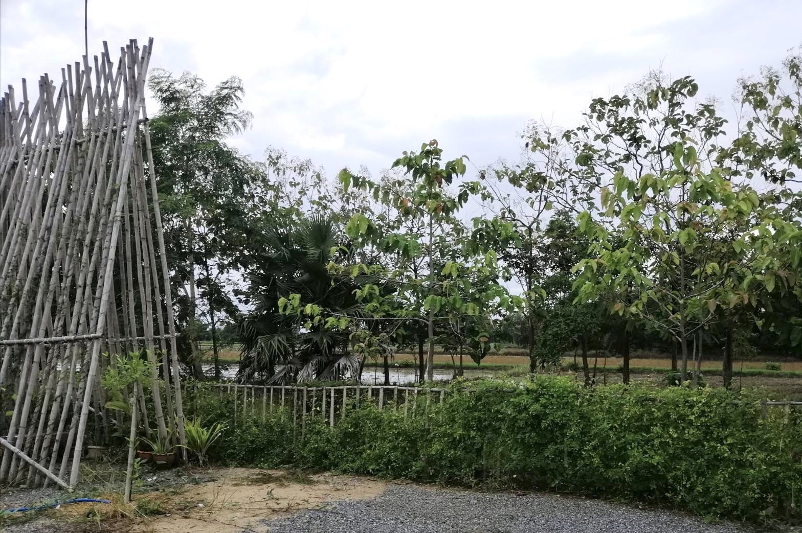 จังหวัดสุโขทัยเยี่ยมเยือน ให้กำลังใจ และติดตาม โคก หนอง นา อำเภอศรีสำโรง