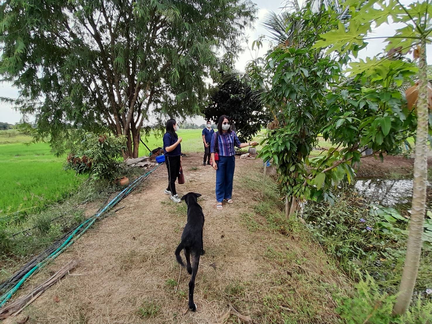 จังหวัดสุโขทัย พอดี พอเพียง@โคก หนอง นา กงไกรลาศ