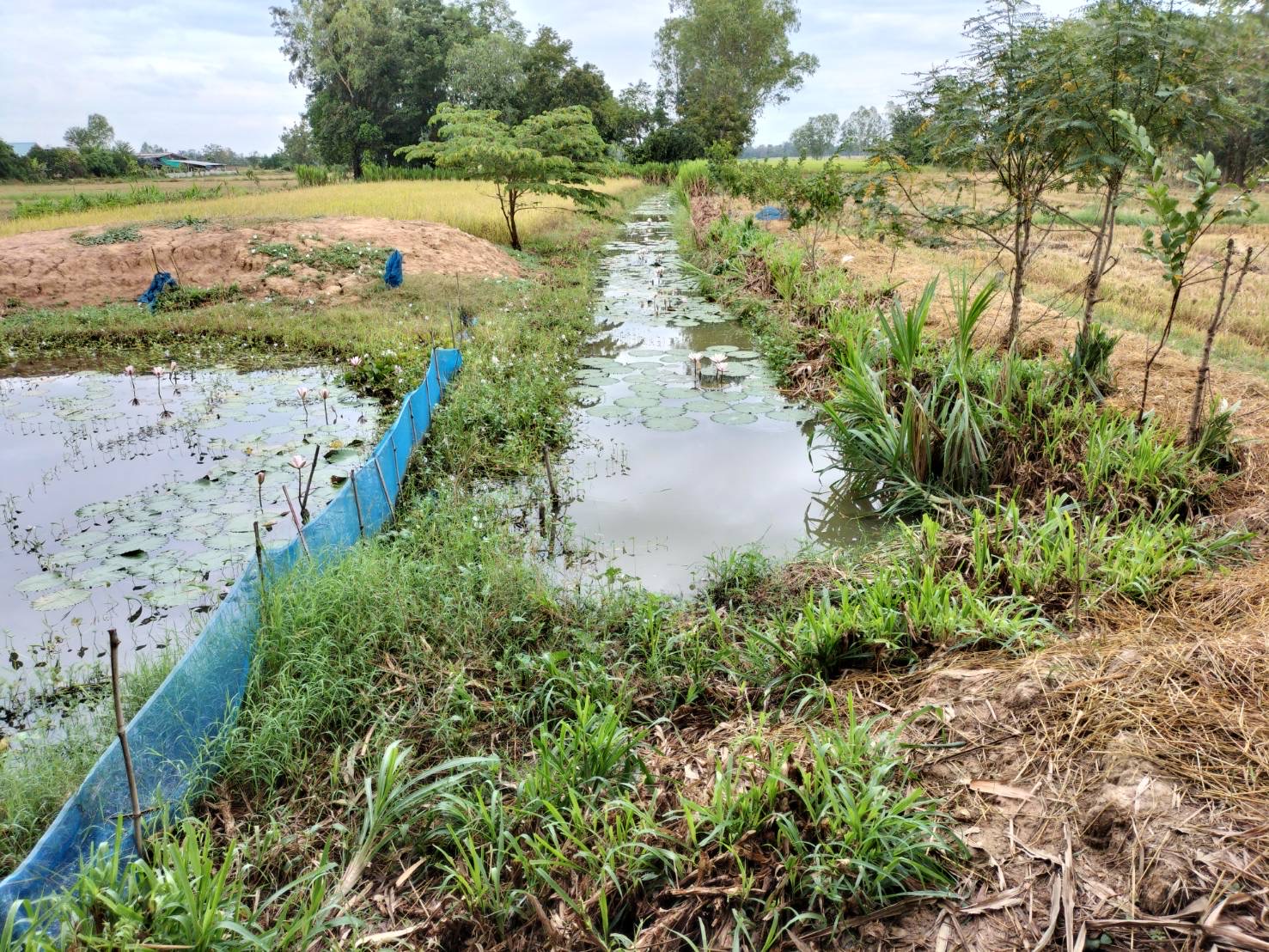 จังหวัดสุโขทัย พอดี พอเพียง@โคก หนอง นา กงไกรลาศ