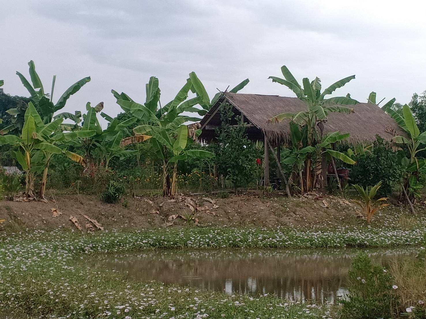 จังหวัดสุโขทัย พอดี พอเพียง@โคก หนอง นา กงไกรลาศ