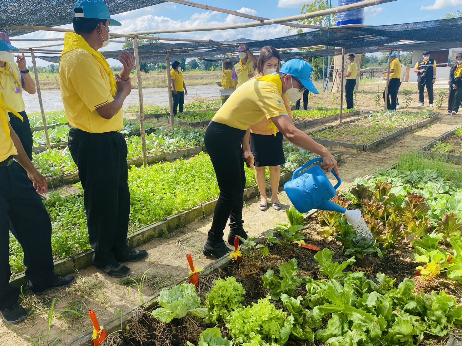 จังหวัดสุโขทัย : จัดกิจกรรมวันดินโลก 2565 (World Soil Day 2022)