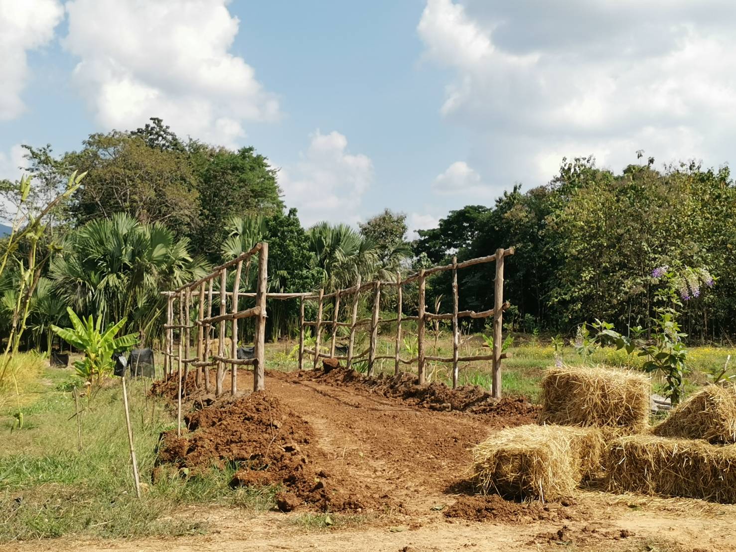 ร่วม​วางแผน เตรียมการจัดงาน” วันดินโลก”