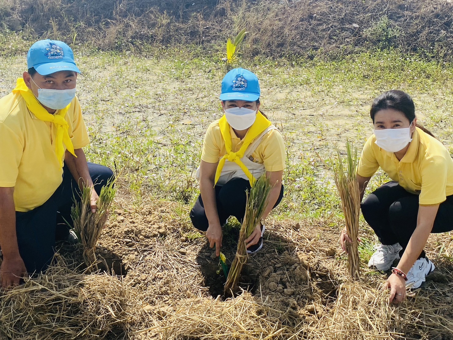 จังหวัดสุโขทัย : จัดกิจกรรมวันดินโลก 2565 (World Soil Day 2022)