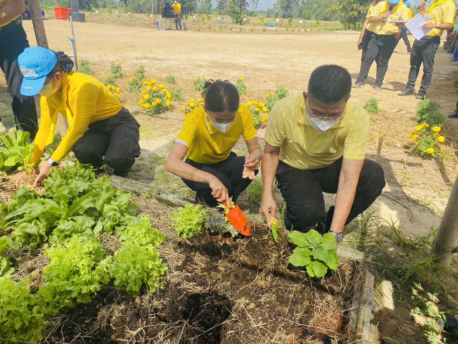 จังหวัดสุโขทัย : จัดกิจกรรมวันดินโลก 2565 (World Soil Day 2022)