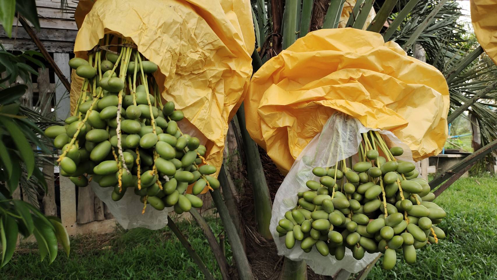 การคัดสรรกิจกรรมพัฒนาชุมชนดีเด่น ประจำปี 2566 อำเภอทุ่งเสลี่ยม