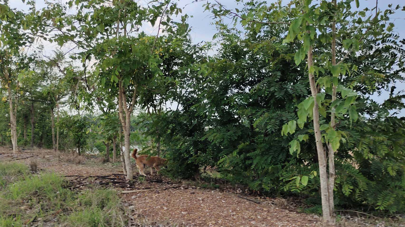 การคัดสรรกิจกรรมพัฒนาชุมชนดีเด่น ประจำปี 2566 อำเภอทุ่งเสลี่ยม