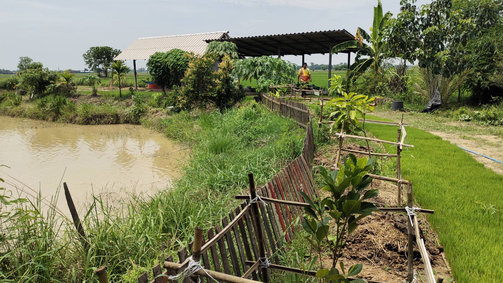 การคัดสรรกิจกรรมพัฒนาชุมชนดีเด่น ประจำปี 2566 อำเภอศรีสำโรง