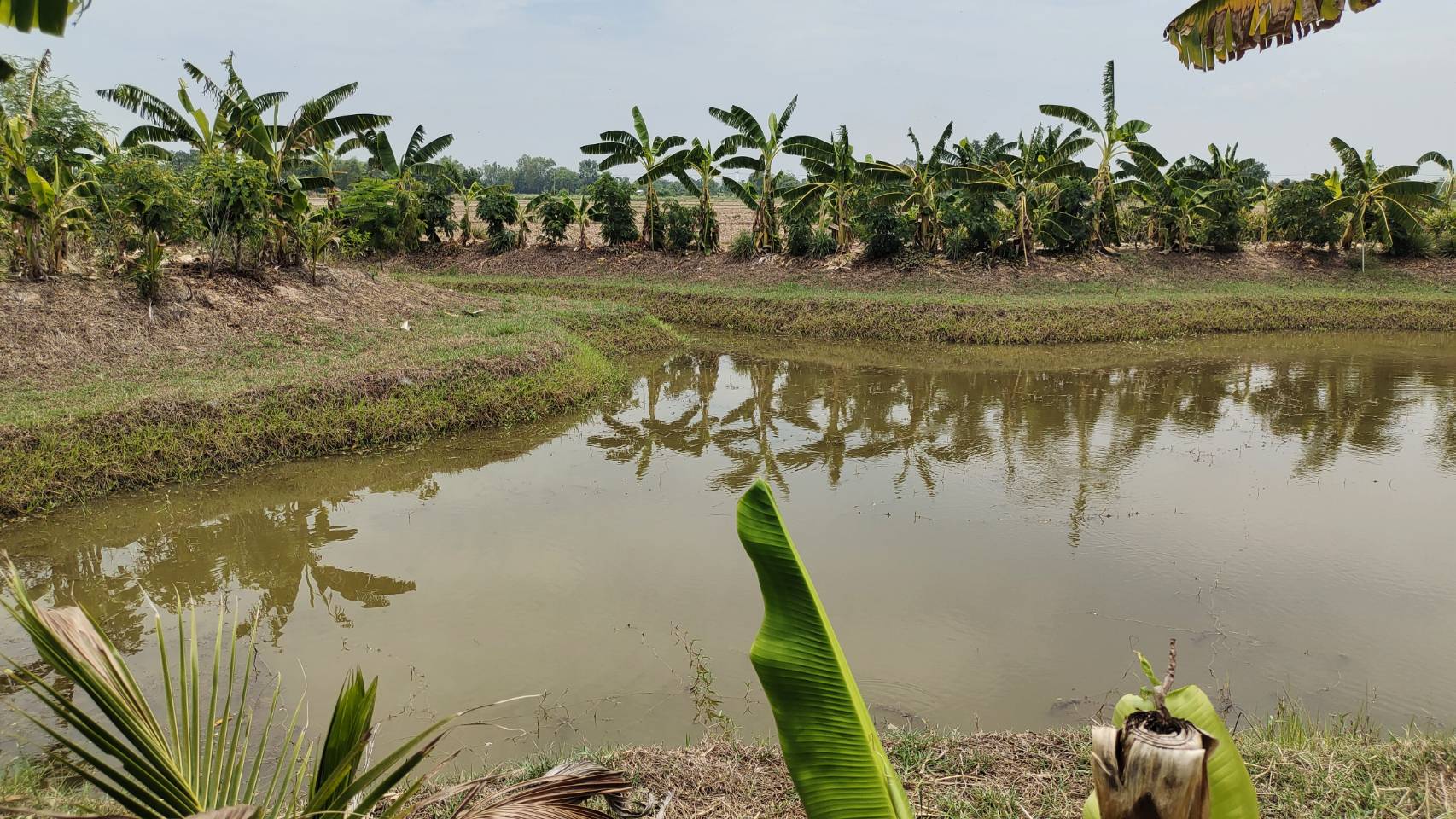 การคัดสรรกิจกรรมพัฒนาชุมชนดีเด่น ประจำปี 2566 อำเภอศรีสำโรง