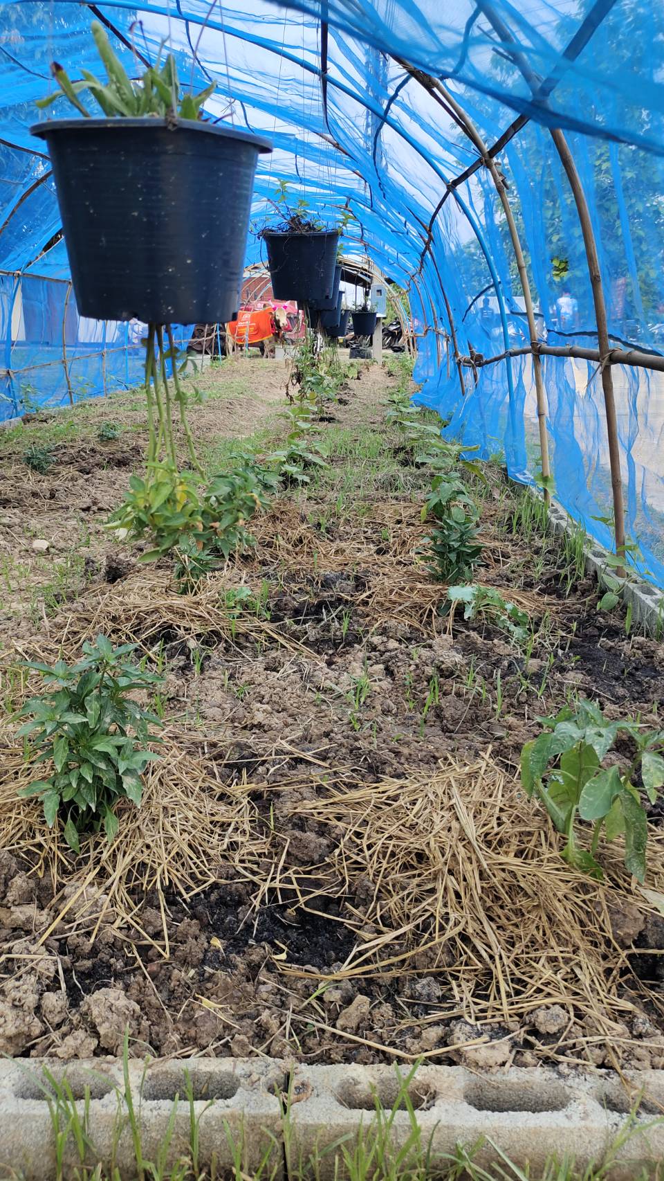 การคัดสรรกิจกรรมพัฒนาชุมชนดีเด่น ประจำปี 2566 อำเภอศรีสำโรง