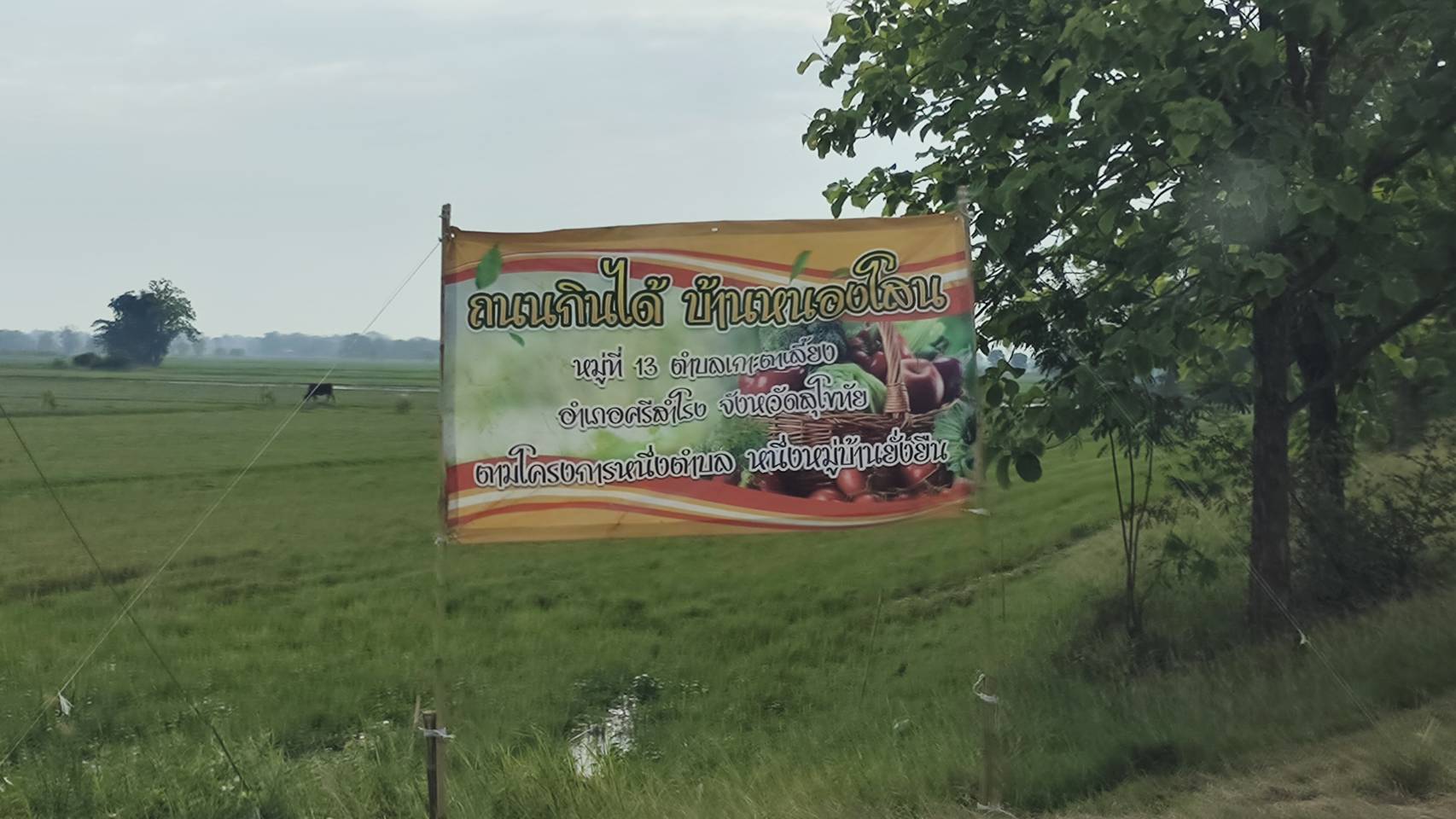 การคัดสรรกิจกรรมพัฒนาชุมชนดีเด่น ประจำปี 2566 อำเภอศรีสำโรง